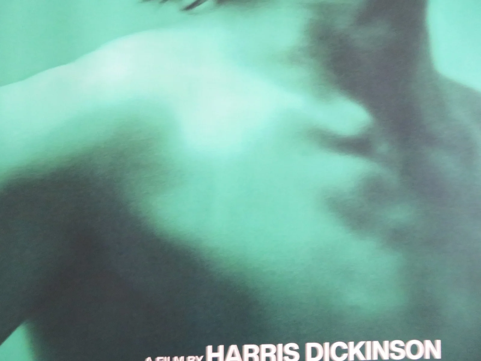 URCHIN UK QUAD ROLLED POSTER FRANK DILLANE MEGAN NORTHAM 2025, image 2