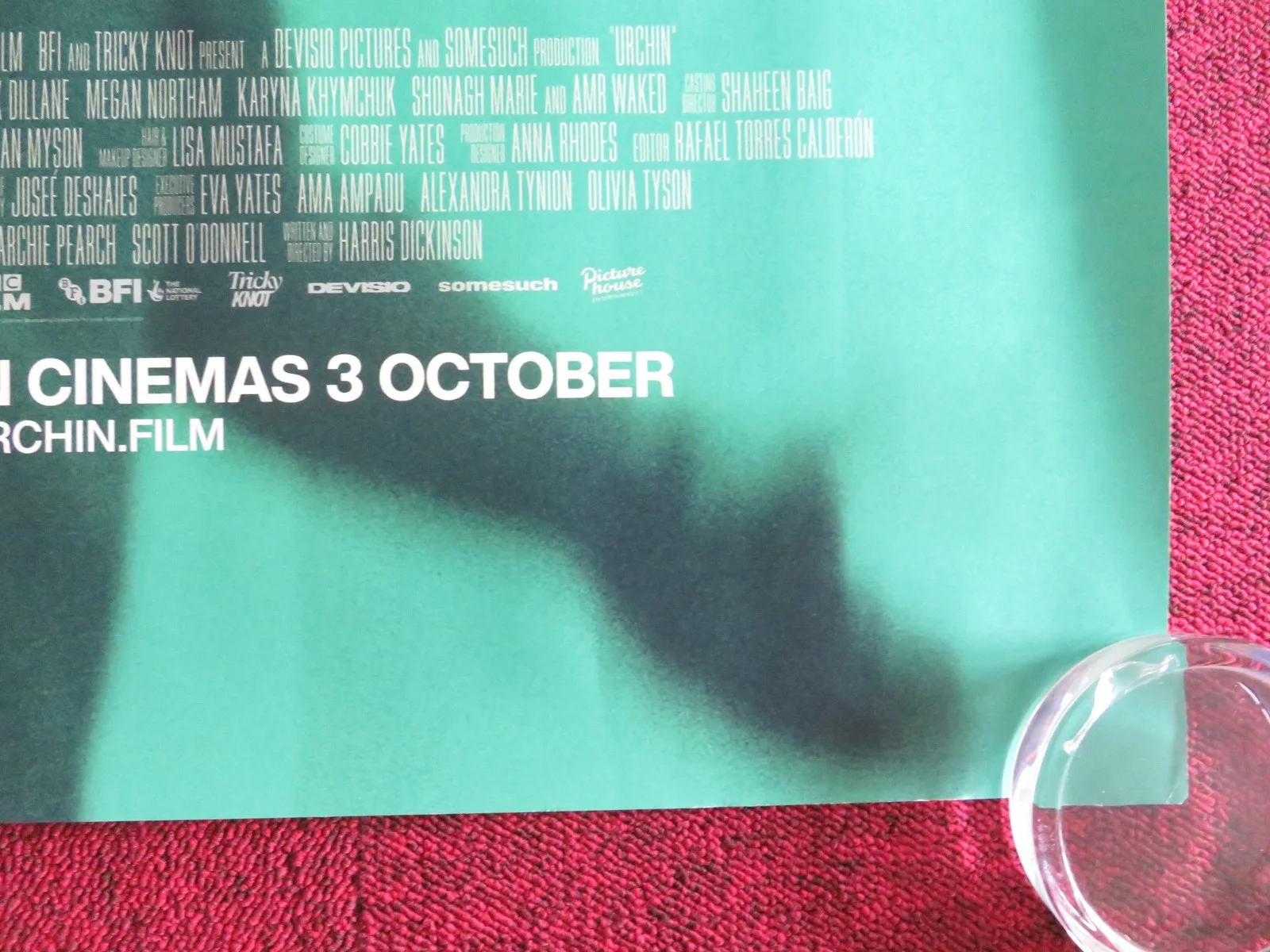 URCHIN UK QUAD ROLLED POSTER FRANK DILLANE MEGAN NORTHAM 2025, image 5