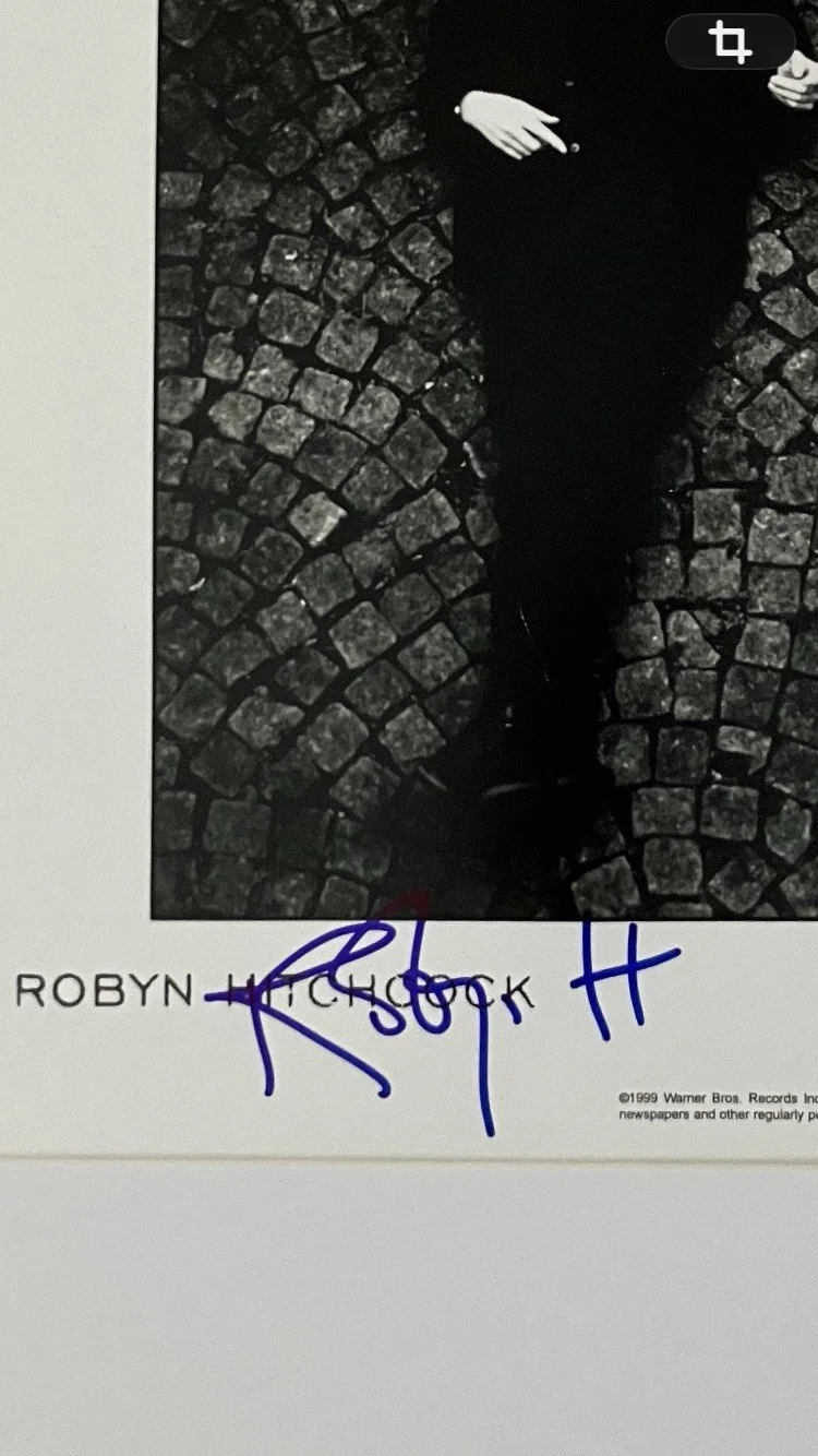 ROBYN HITCHCOCK SIGNED/AUTOGRAPHED 8x10 PHOTO WITH COA, image 2