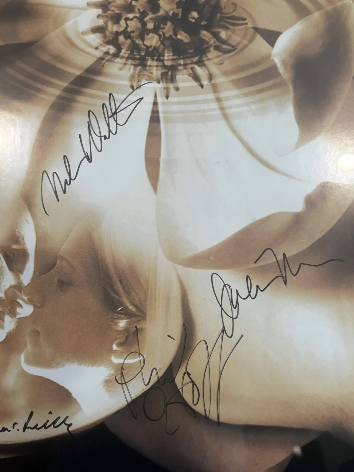 julianne moore — FRAMED AND AUTOGRAPHED MAGNOLIA D/S 27X40 ORIGINAL POSTER SIGNED BY 7, изображение 3