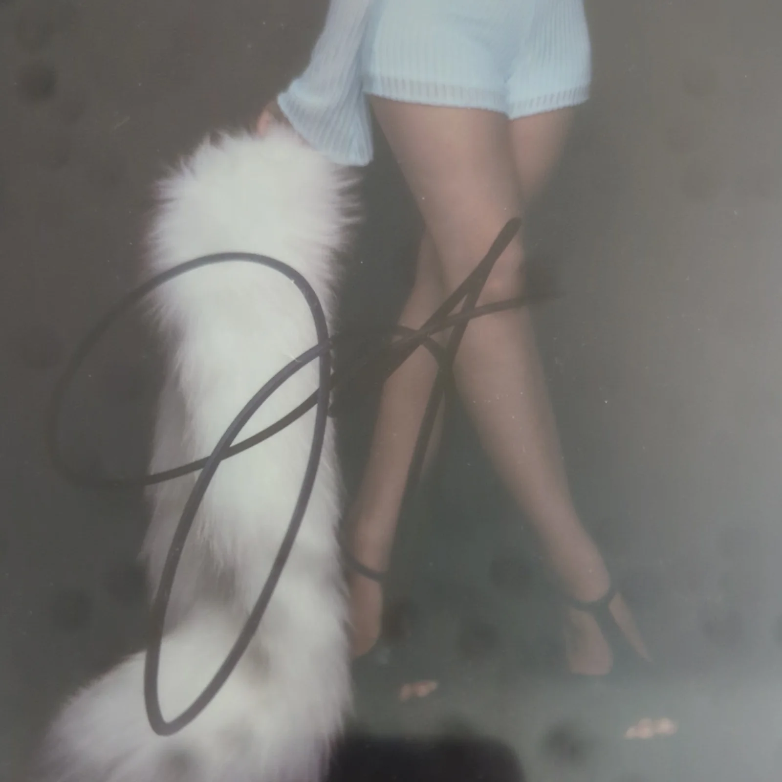 Janel Parrish Autographed Signed sexy 8x10 Photo JSA Authenticity, image 3