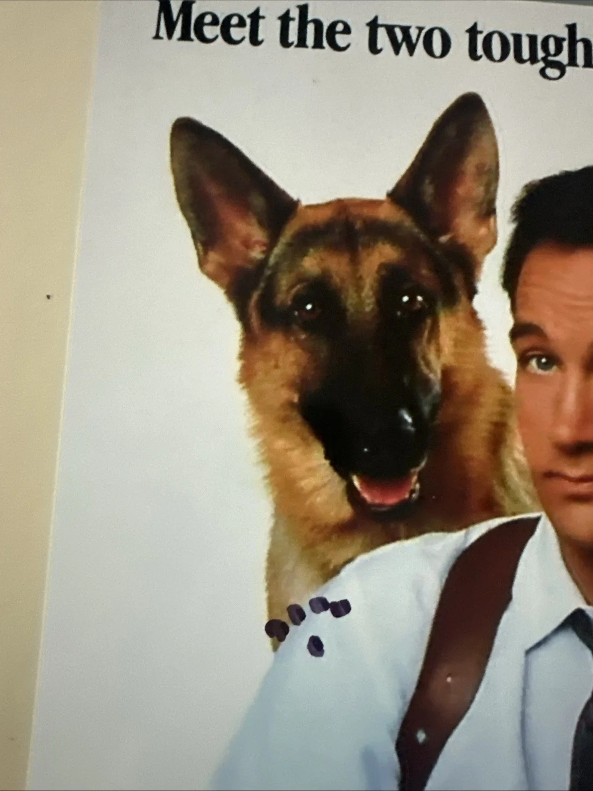 James Belushi K-9 Autographed 8x10, image 2