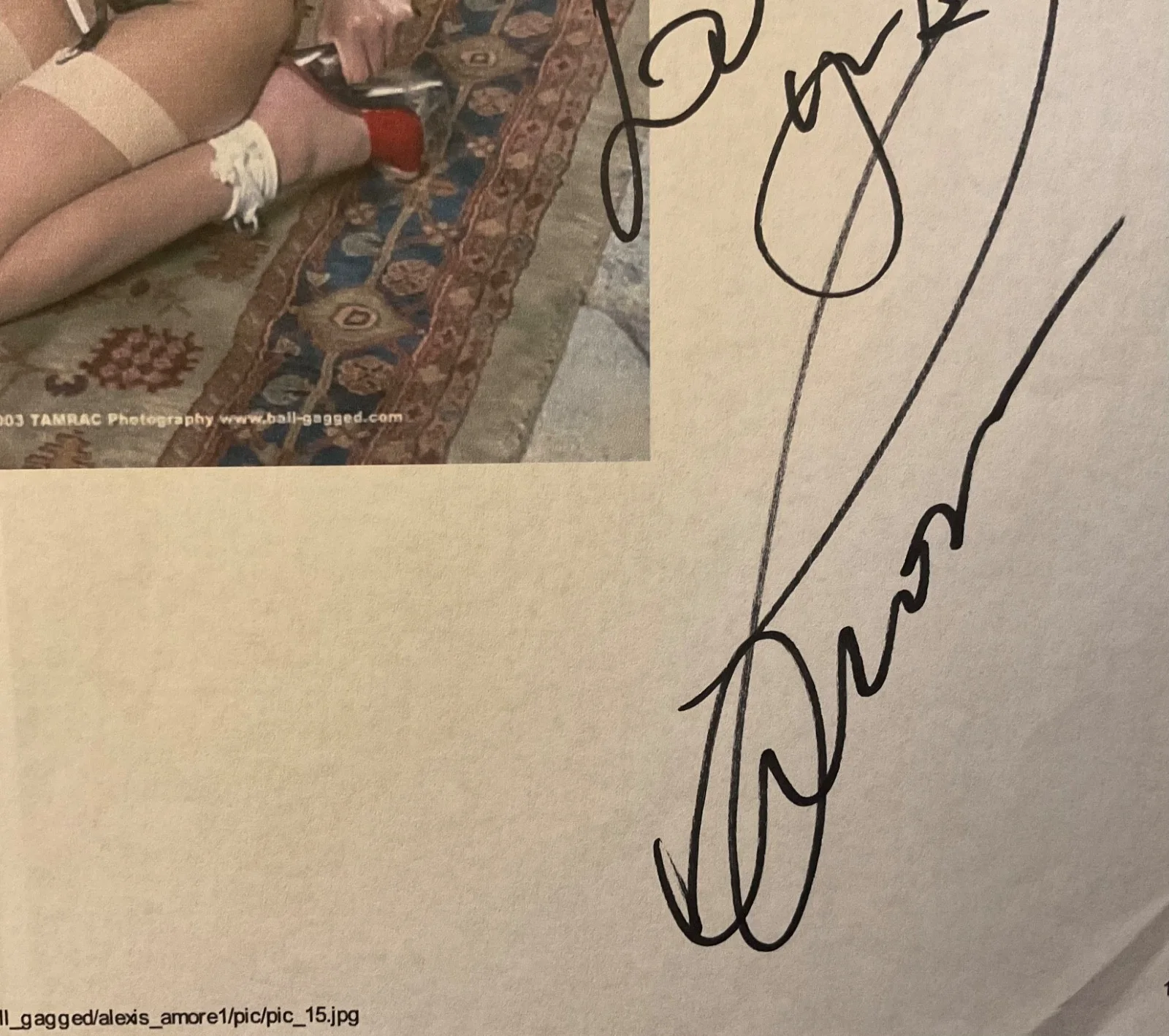 Alexis Amore BONDAGE signed 8x10 photo NYSSA SIGNED ON PAPER autograph lot, image 4