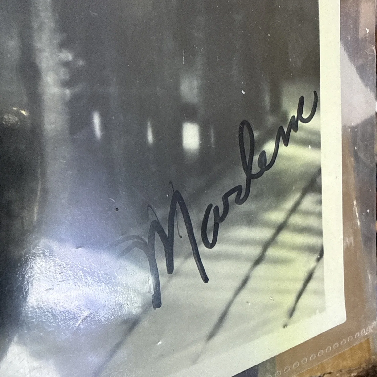 Marlene Dietrich Autographed 8x10 Photo Actress w CoA, image 2