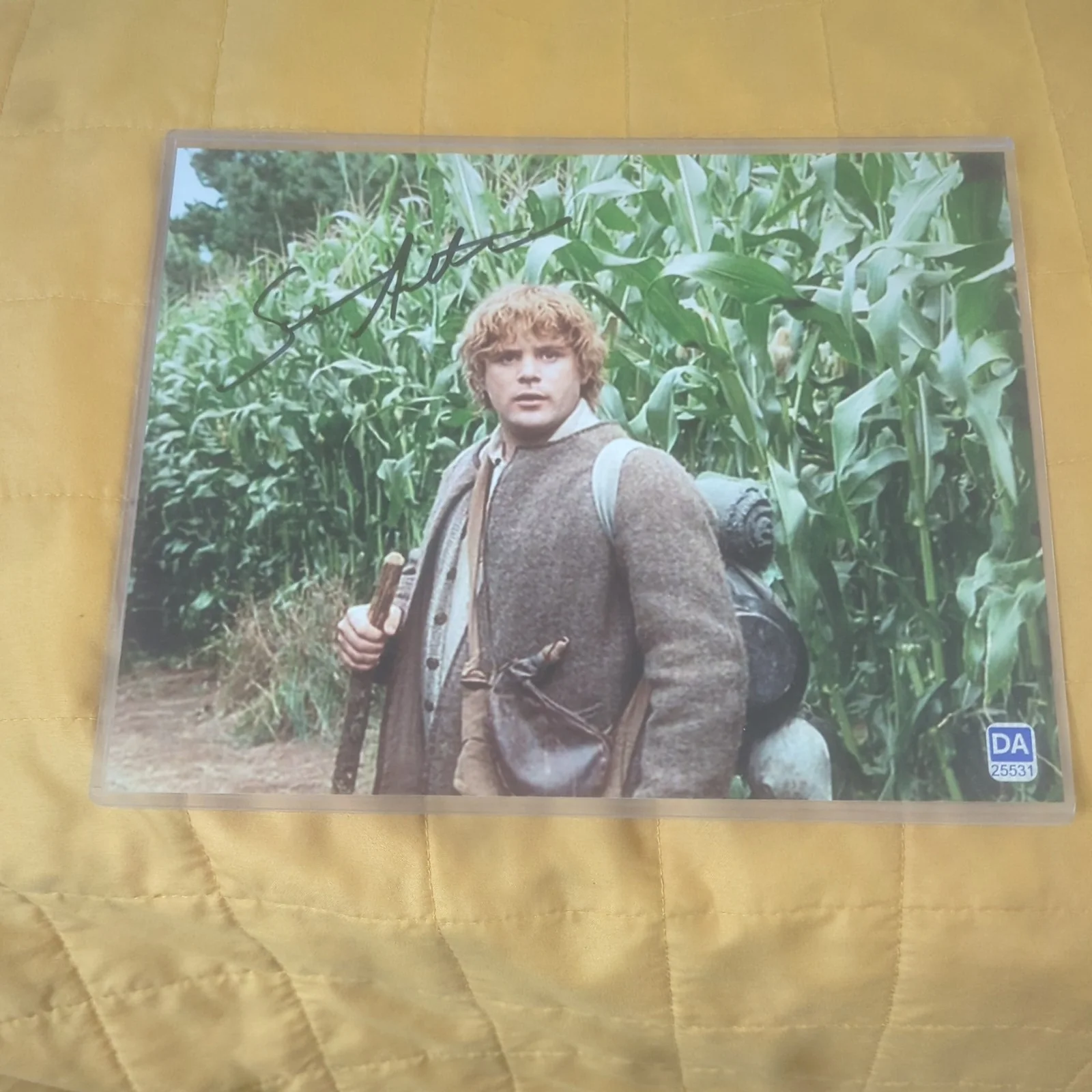Sean Astin — Sean Astin Lord of the Rings AUTOGRAPHED Photo 8x10 Certificate of Authenticity