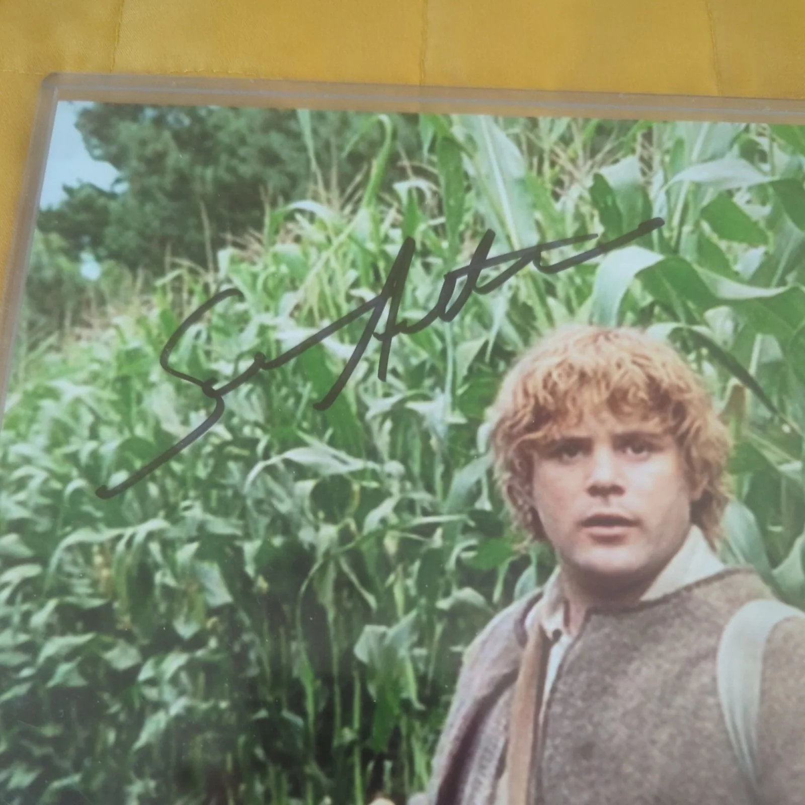 Sean Astin — Sean Astin Lord of the Rings AUTOGRAPHED Photo 8x10 Certificate of Authenticity, изображение 2