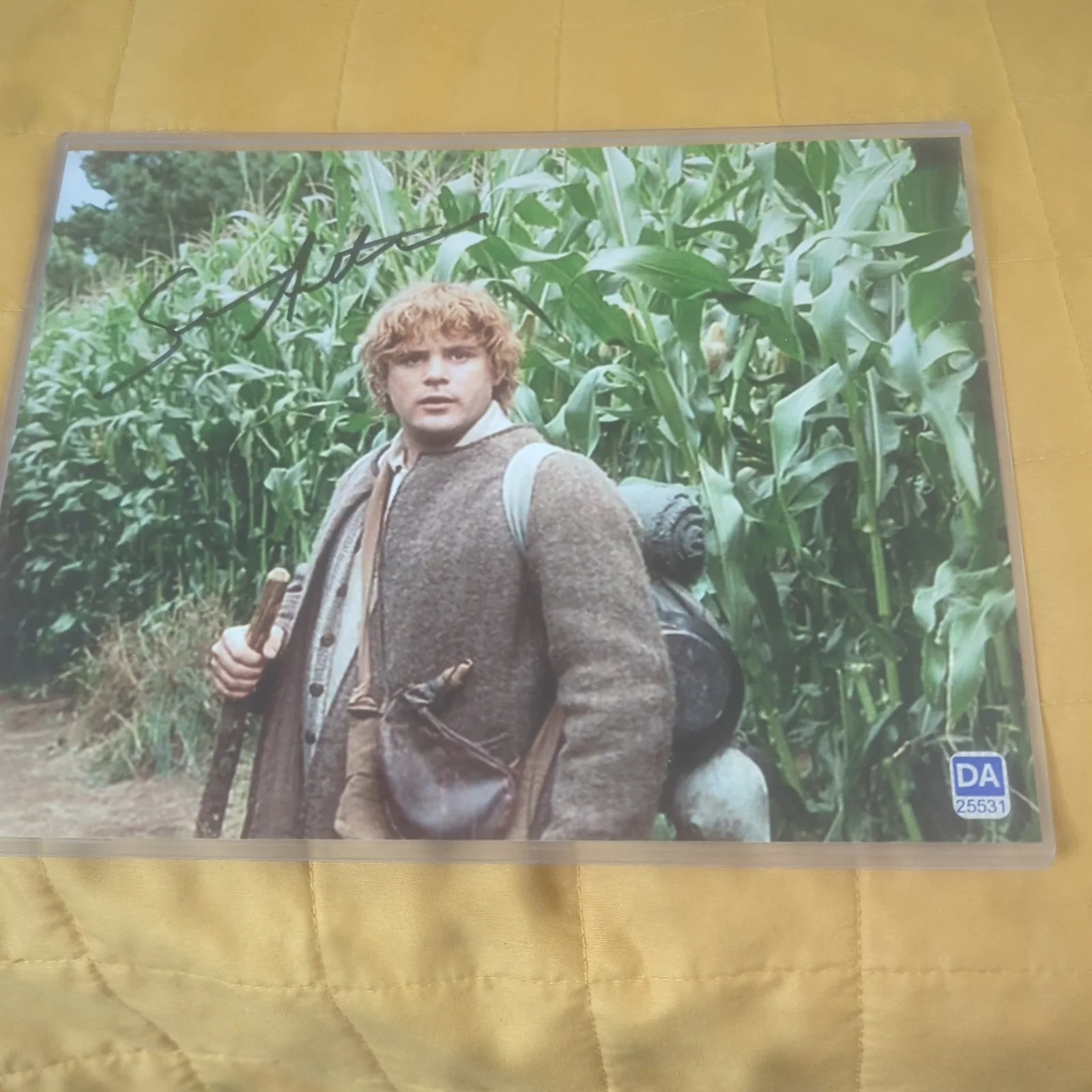 Sean Astin — Sean Astin Lord of the Rings AUTOGRAPHED Photo 8x10 Certificate of Authenticity, изображение 3