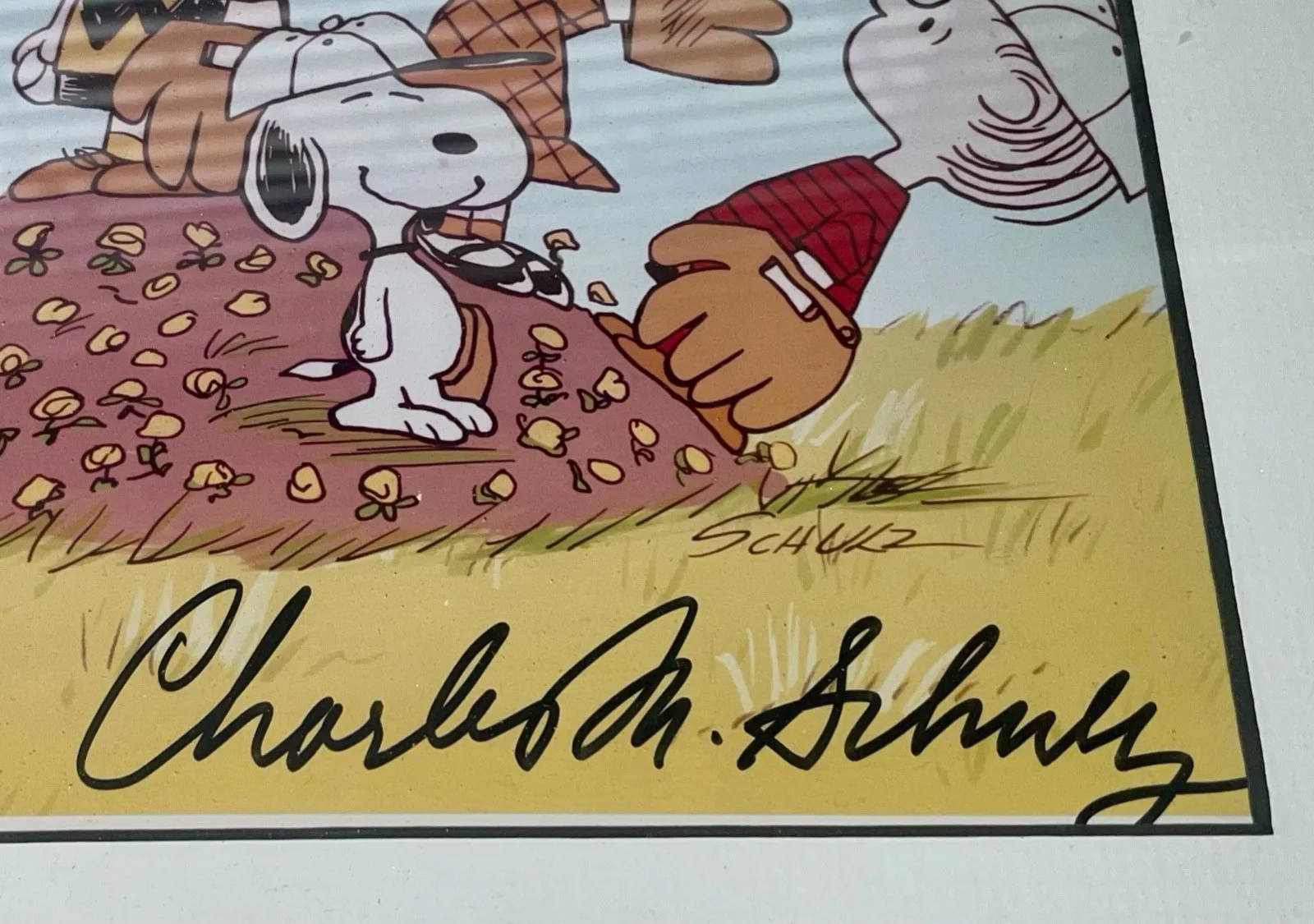 Charles M Schultz — Peanuts signed Charles M Schultz 8x10 photo Charlie Brown Snoopy and the Gang, изображение 2