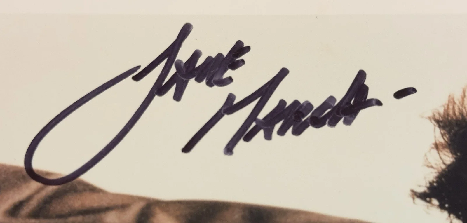 JANE MARCH — Jane March - Autographed 8x10 photo with COA, image 2