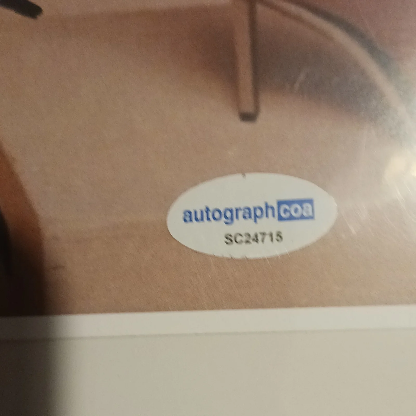 Marin Hinkle — Marin Hinkle of 2 and a half men AutographCOA Authenticated, image 3