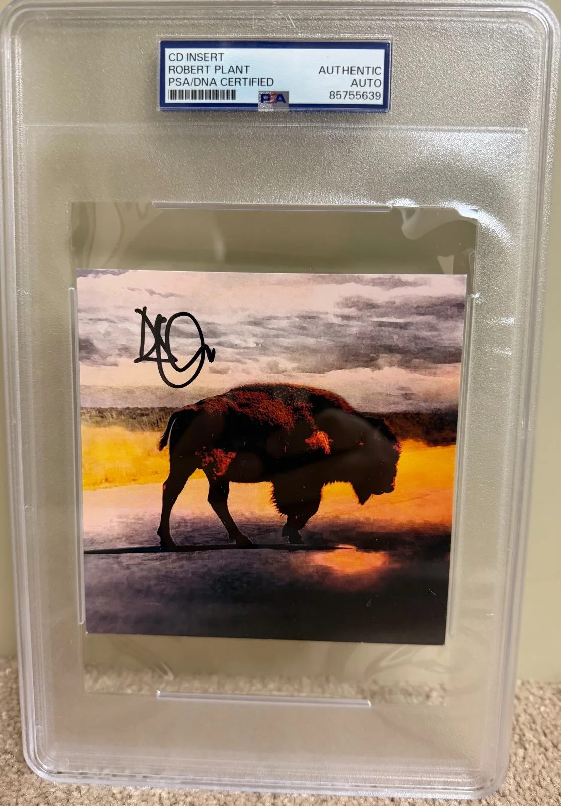 Robert Plant — ROBERT PLANT Led Zeppelin Signed Auto Saving Grace CD Photo Card PSA DNA COA