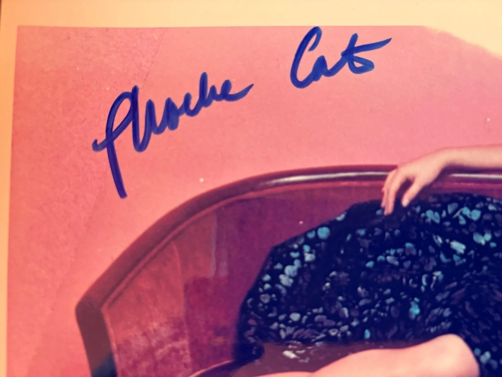Phoebe Cates — PHOEBE CATES SIGNED AUTOGRAPHED 8X10 PHOTO SEXY HOT KLINE VINTAGE RARE PSA Q, изображение 2