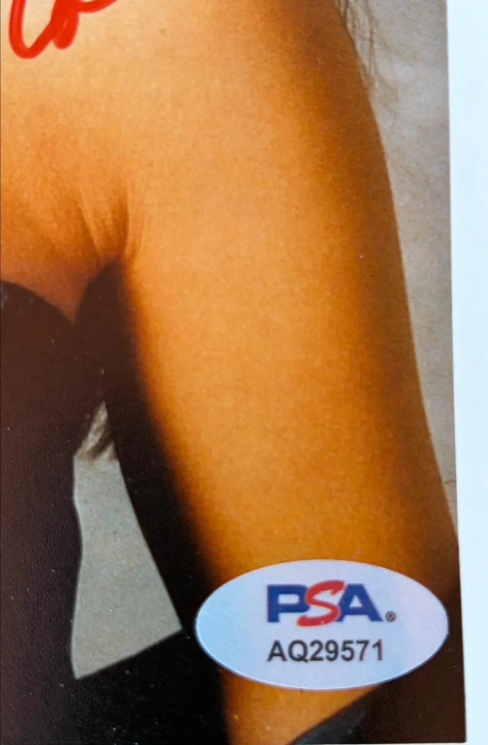 Phoebe Cates — PHOEBE CATES SIGNED AUTOGRAPHED 8X10 PHOTO SEXY HOT KLINE VINTAGE RARE PSA P, изображение 3