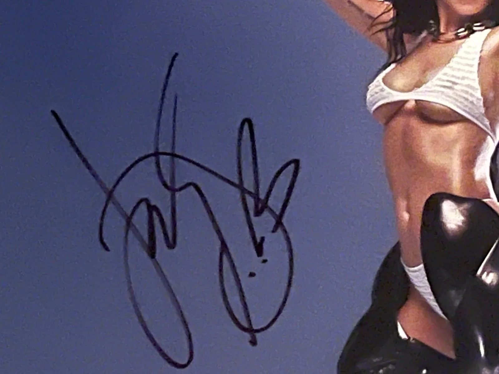 Katy Perry Signed 12x12 Vinyl Insert Psa Coa Hot, image 2