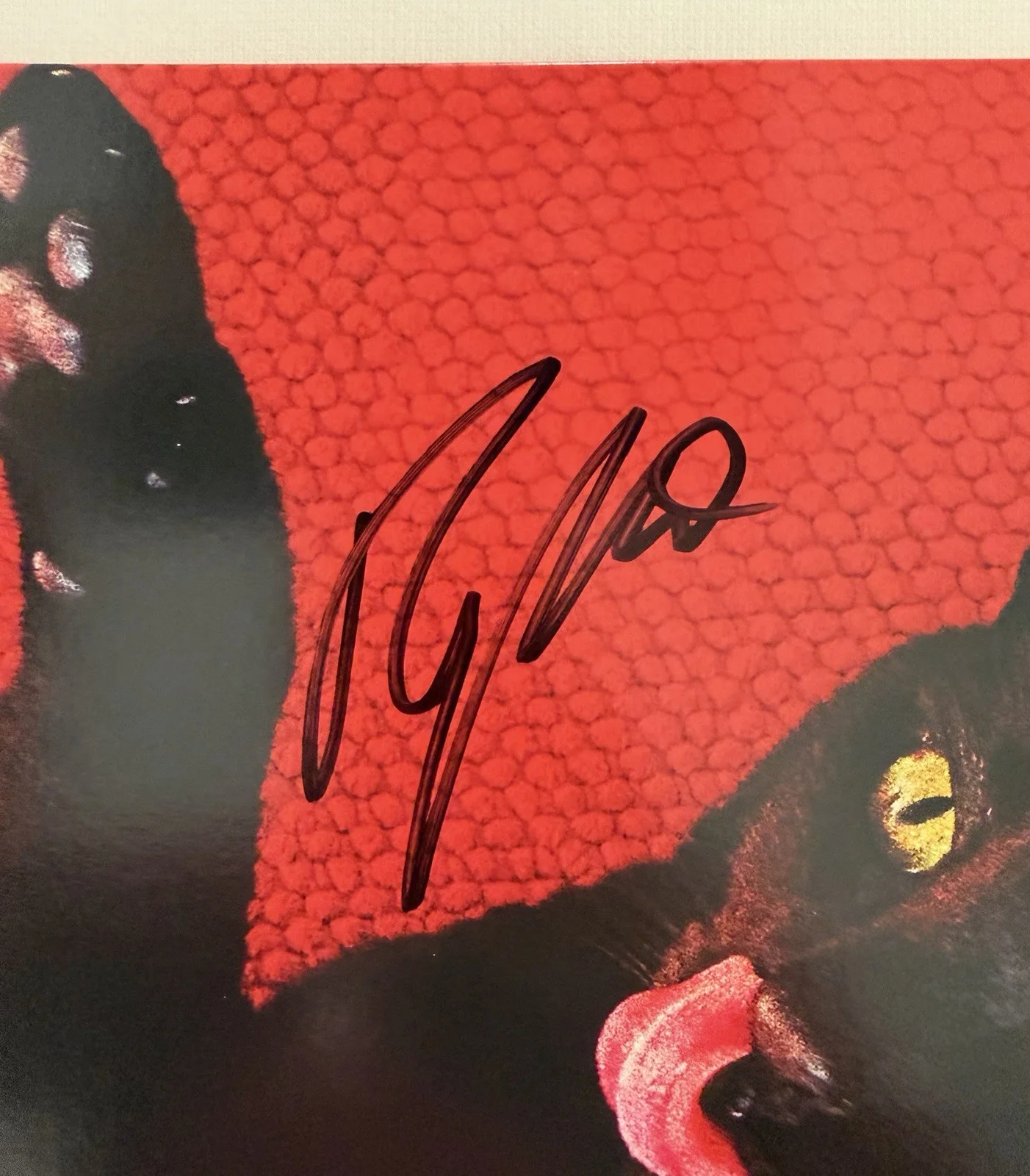 Ryan Adams SIGNED Big Colors Red Vinyl LP Autographed +7” Record, image 2