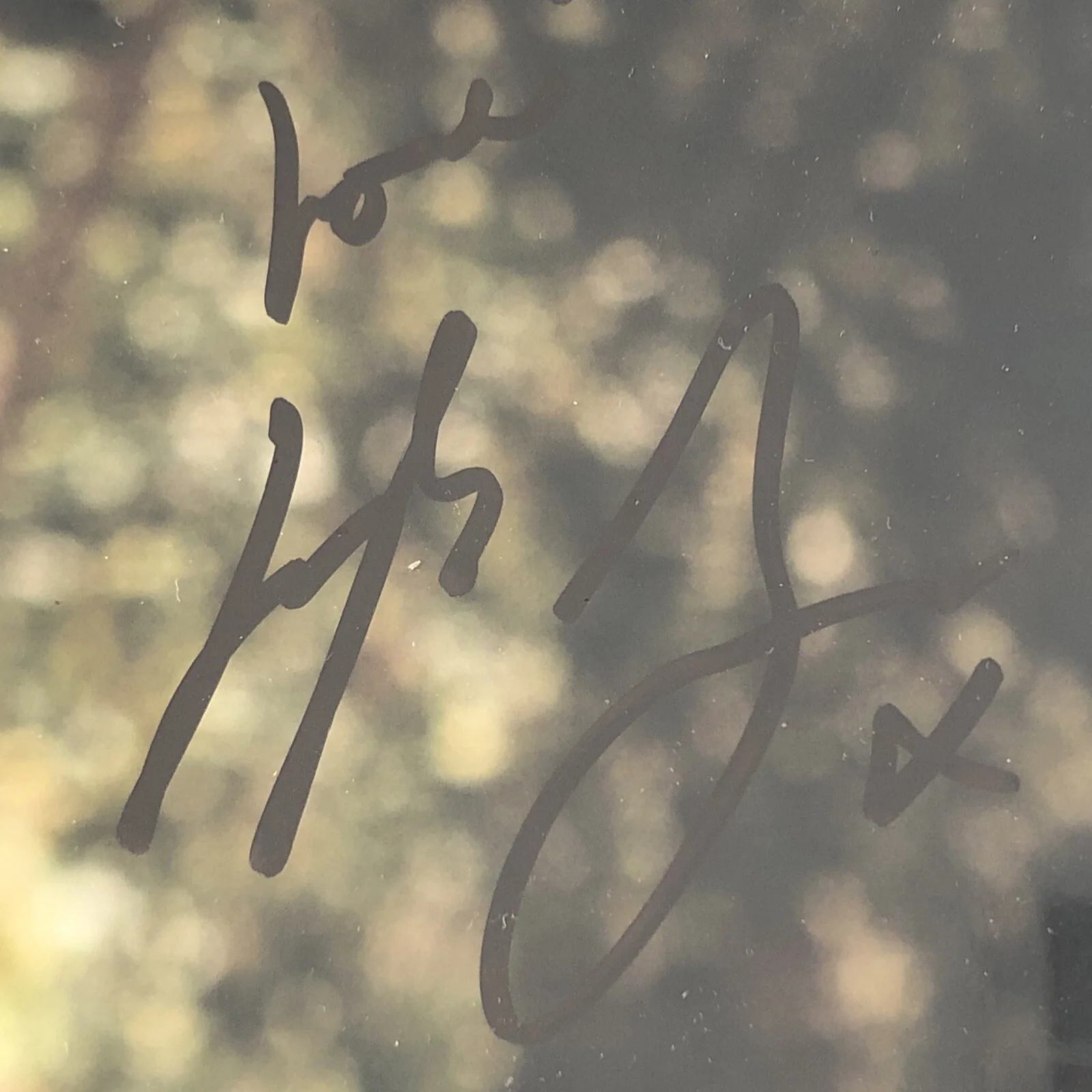 Joseph Morgan — Joseph Morgan Vampire Diaries Originals Autograph Signed 8x10 Photo TO CINDY, изображение 4