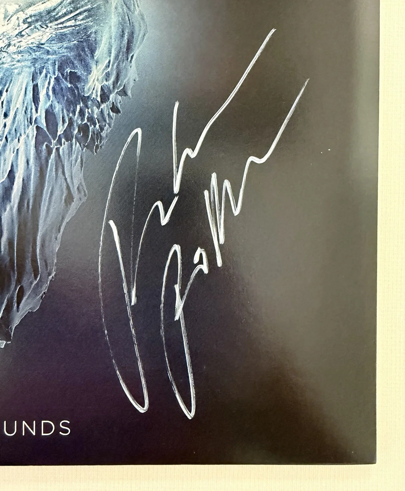 Kaleo - Surface Sounds SIGNED Vinyl Jacket LP Autographed Record Sleeve White, image 5