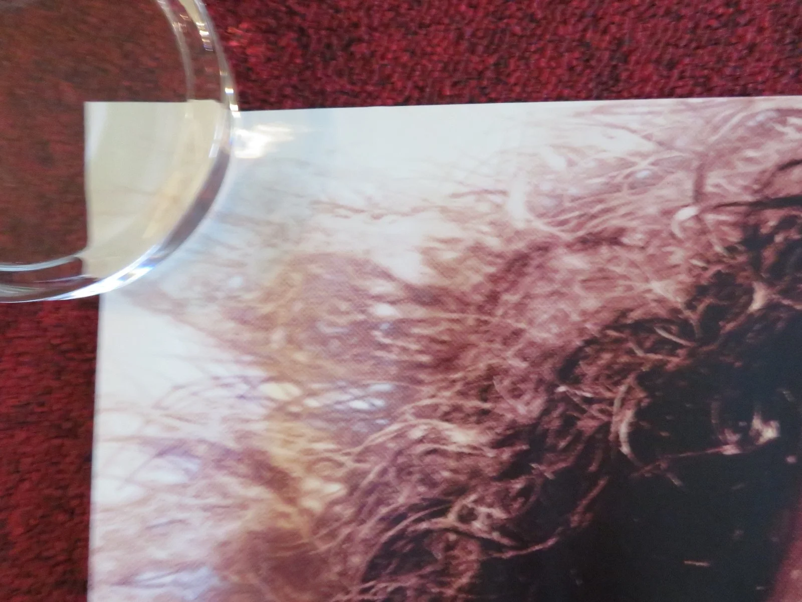 CHRISTY UK QUAD ROLLED POSTER SYDNEY SWEENEY COLEMAN PEDIGO 2025, image 3