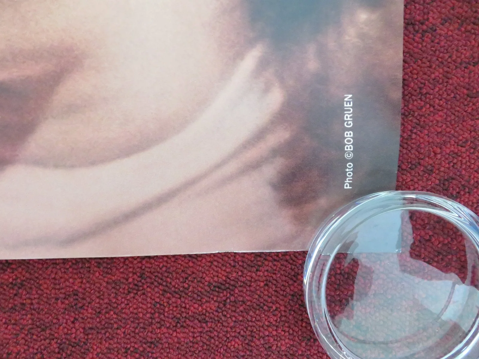 ONE TO ONE: JOHN & YOKO UK QUAD ROLLED POSTER JOHN LENNON YOKO ONO 2024, изображение 5
