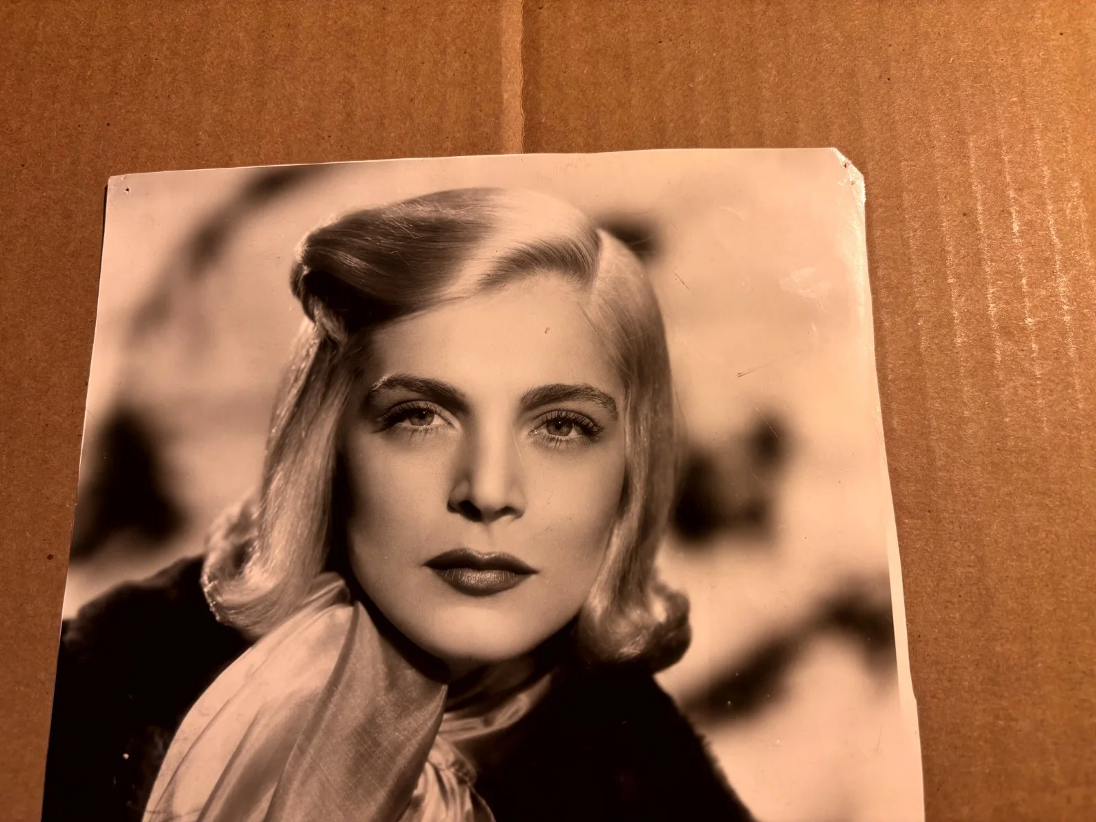 Lizabeth Scott Rare Very Early Autographed 8/10 '49 Too Late For Tears, изображение 2