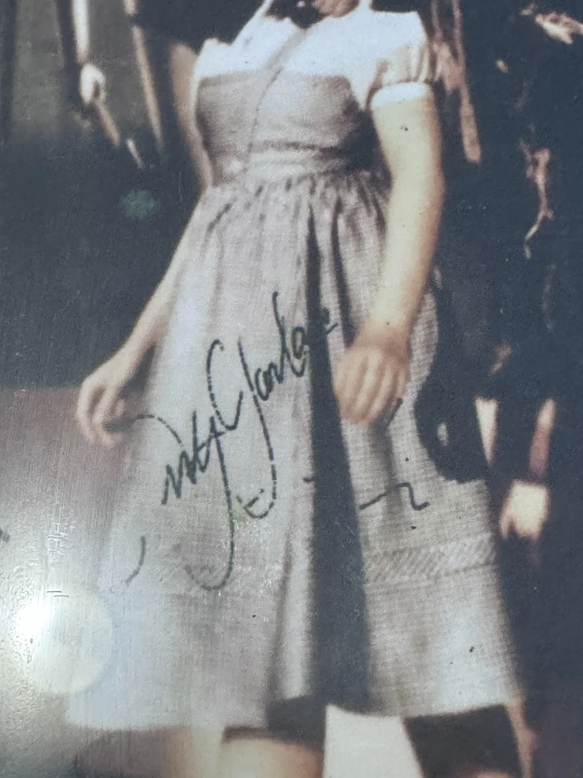 Wizard Of Oz Photo 5 Signatures In Silver Frame Great, изображение 3