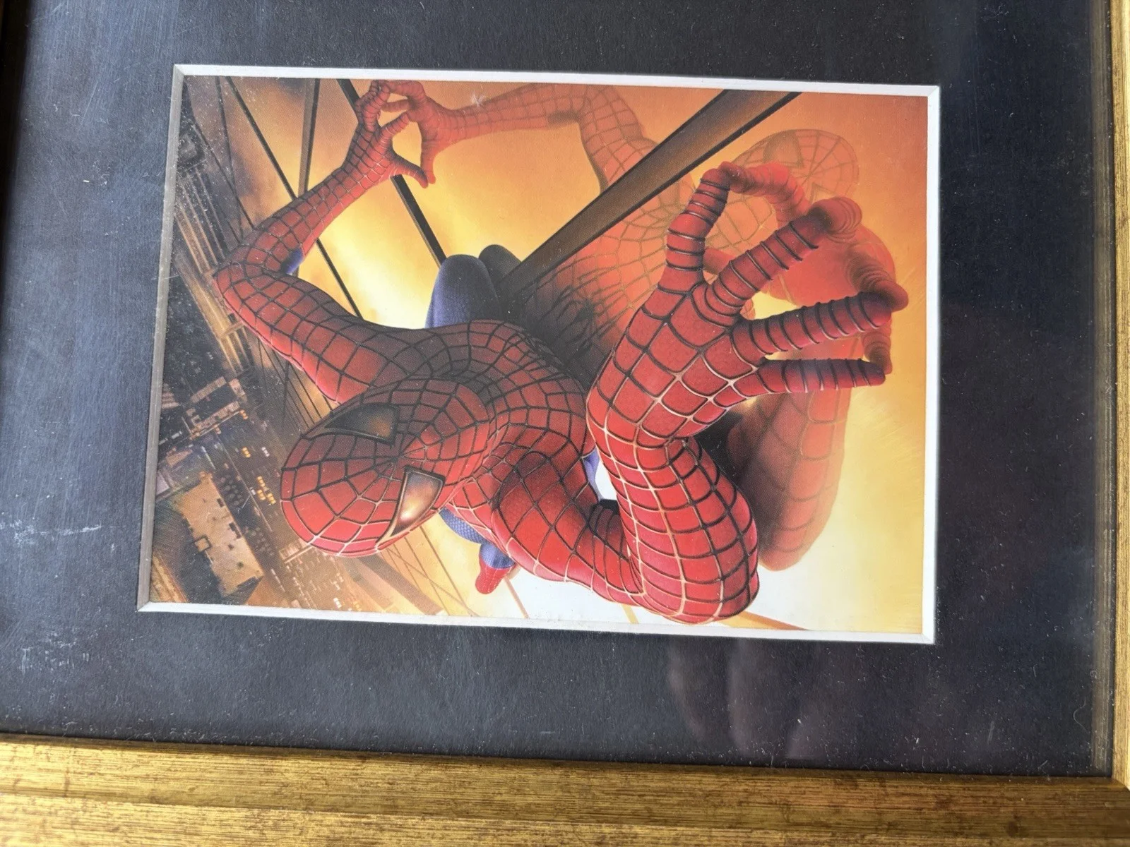 Spiderman film cell, image 2