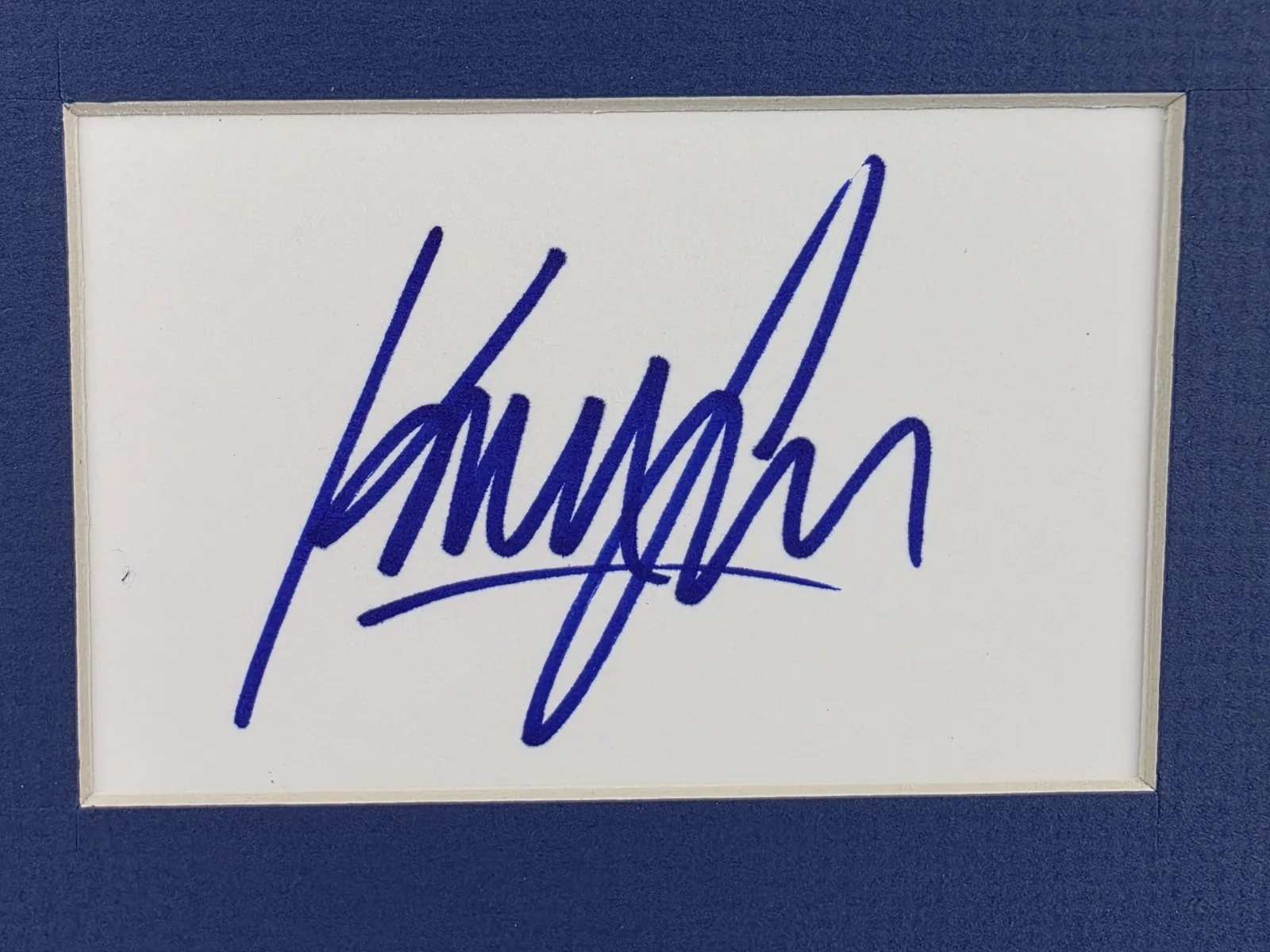 Harrison Ford — Indiana Jones Harrison Ford Autograph w/ COA 11x14 Matte, изображение 3