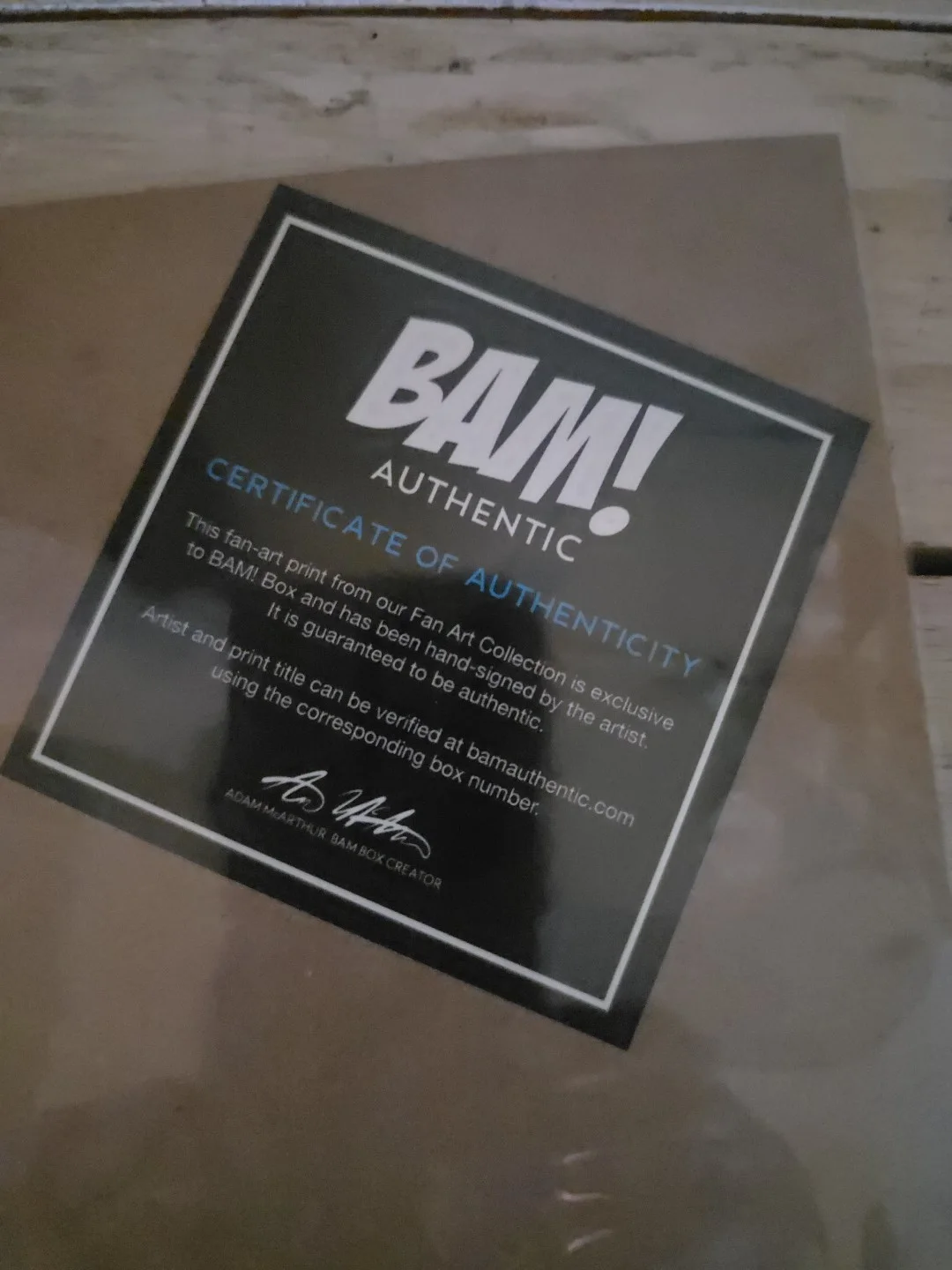 BAM authentic hand signed 8x11 color photo, image 5
