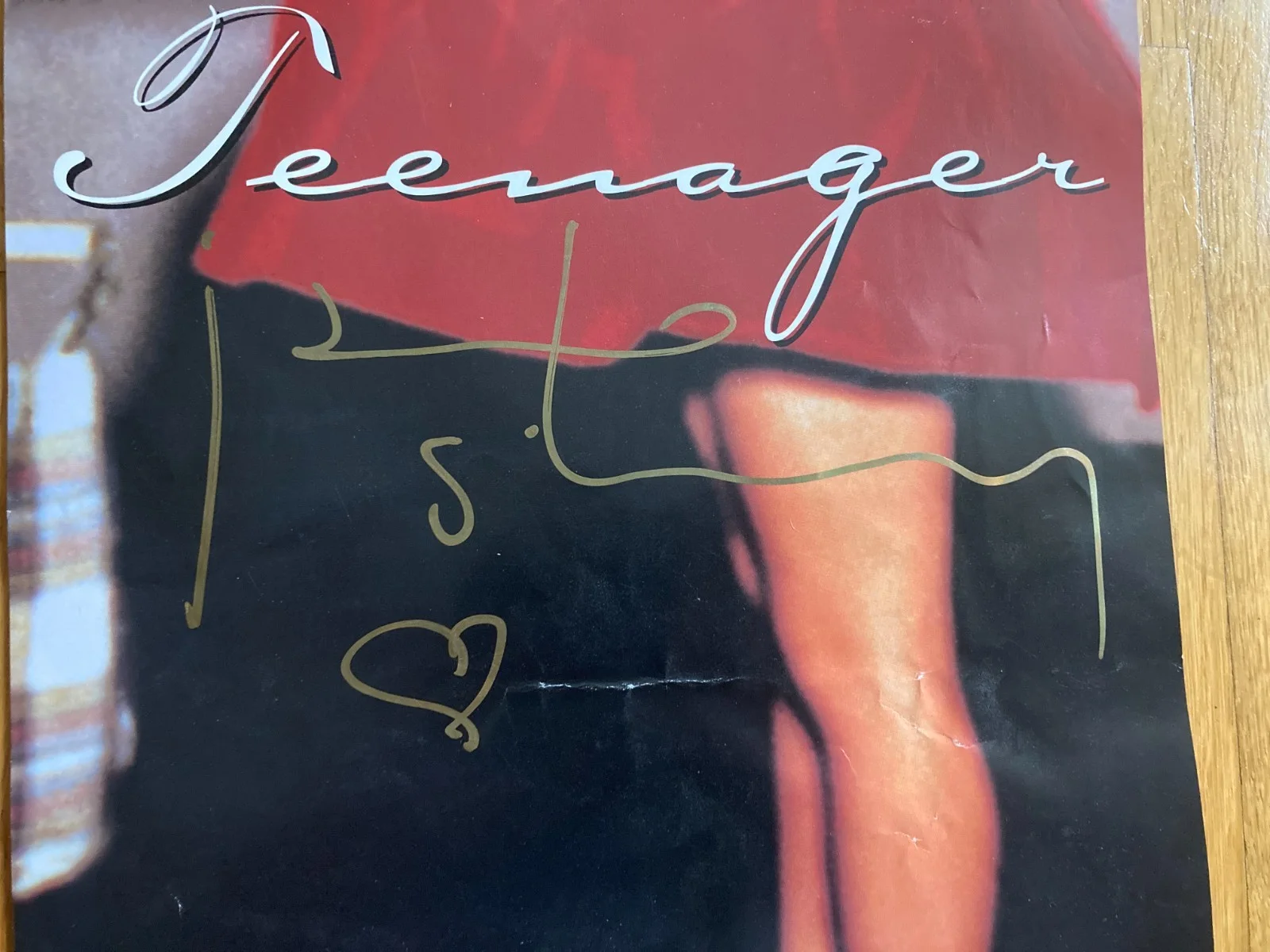 Jane Siberry Signed Autographed 1996 Teenager 24x9 Album Promo Poster JG COA, изображение 2