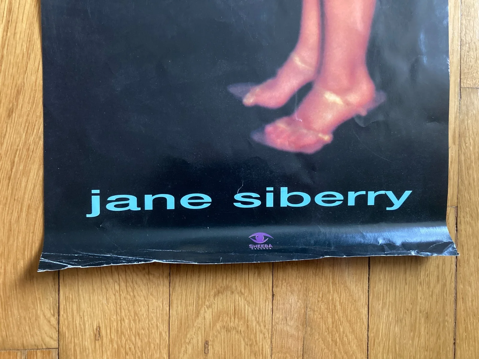 Jane Siberry Signed Autographed 1996 Teenager 24x9 Album Promo Poster JG COA, изображение 4