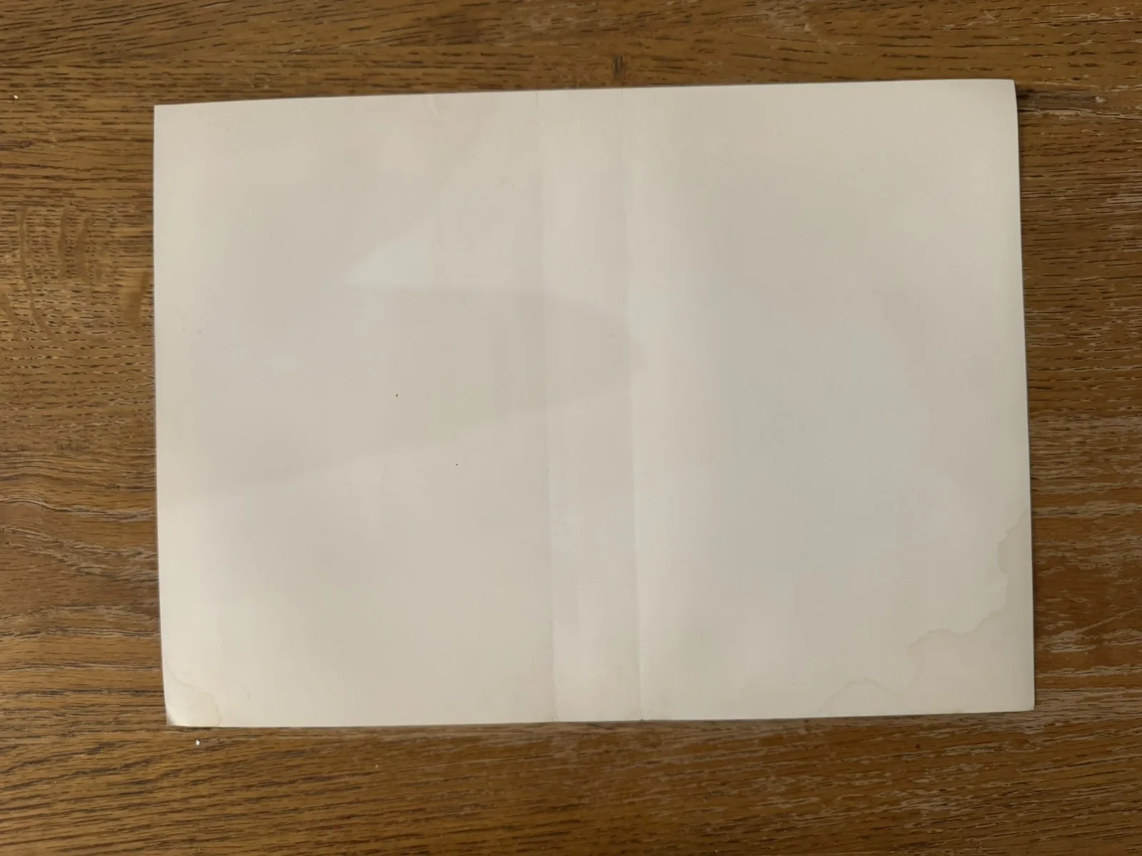 Back to the future 1985 Video Shop VHS sleeve rare unused, изображение 2