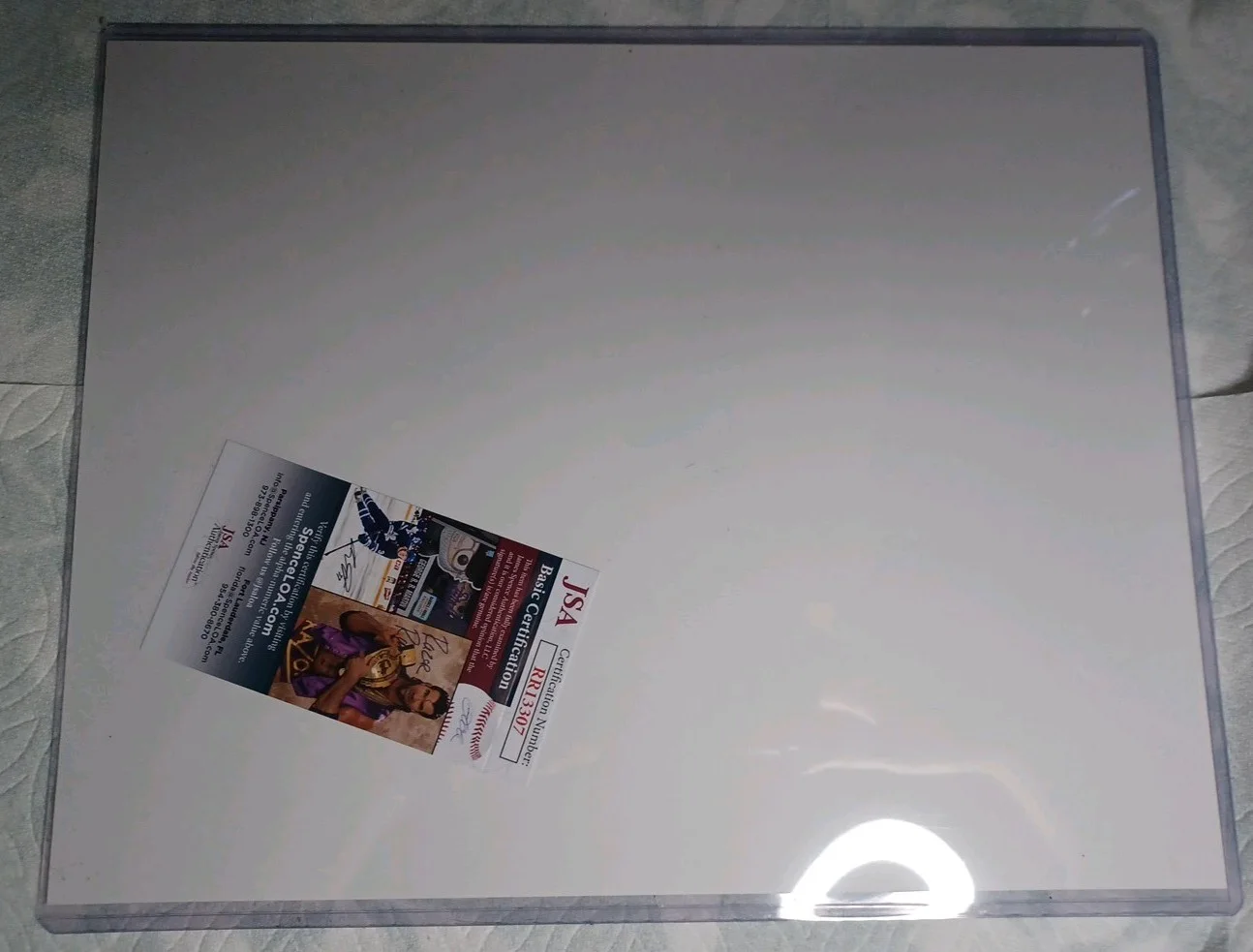 11 X 14 Photo Of Haru from The Anime Beastars, signed by Lara Jill Miller, изображение 2