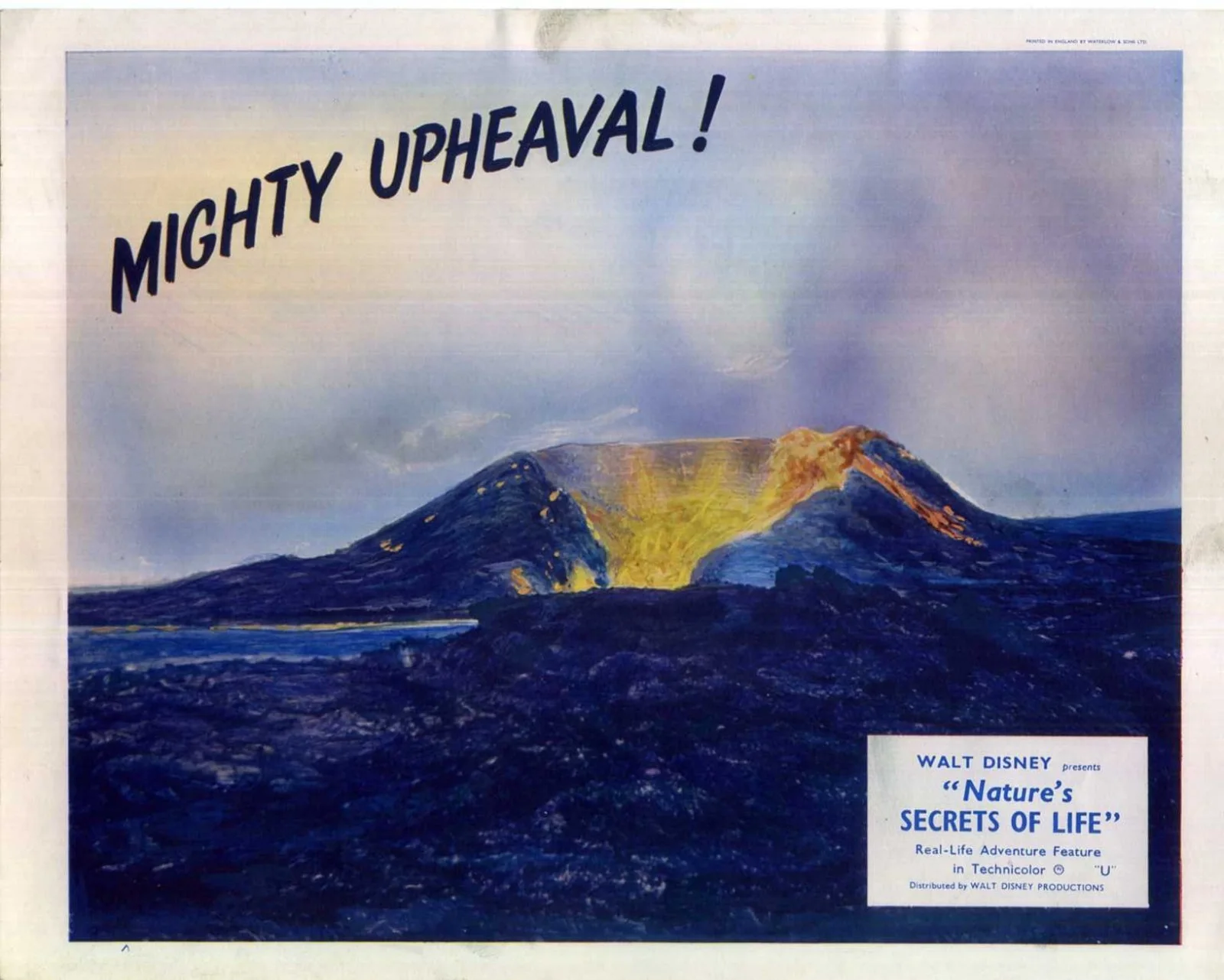 NATURE’S SECRETS OF LIFE 1956 Walt Disney 7 UK 10x8 LOBBY CARDS, изображение 3