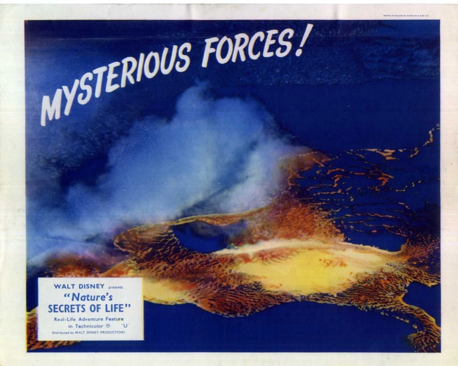 NATURE’S SECRETS OF LIFE 1956 Walt Disney 7 UK 10x8 LOBBY CARDS, изображение 5