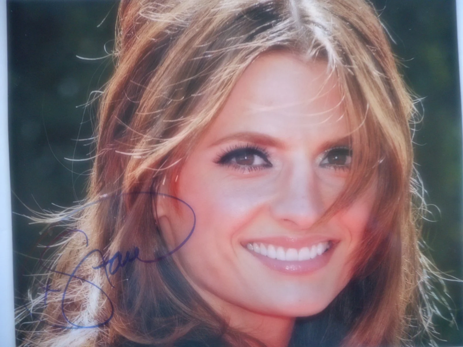 Stana Katic — Stana Katic Autographed CASTLE Closeup Smiling 8x10 Photo Coa & #d Hologram, изображение 2
