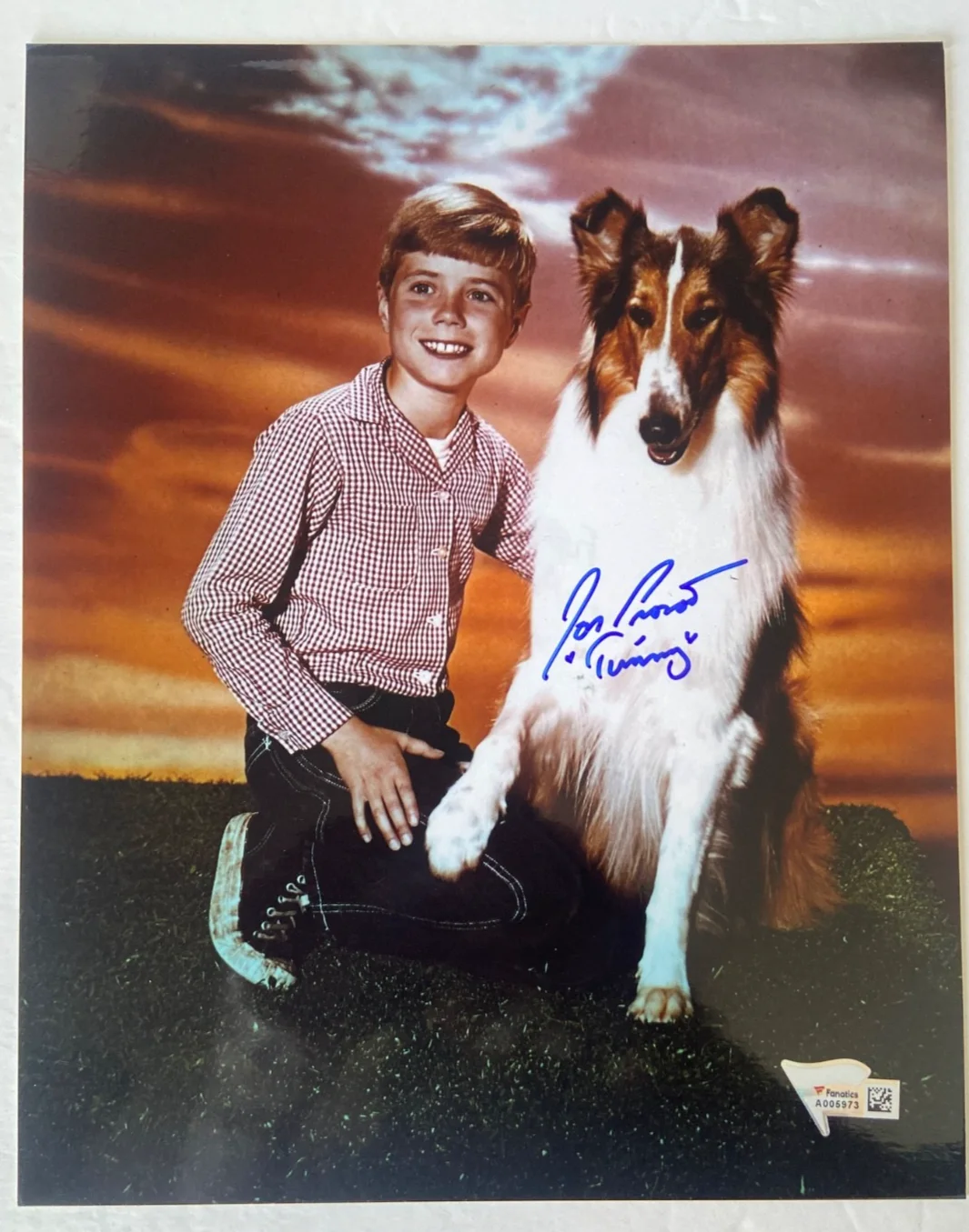 Jon Provost signed color 8"x10" Photo from Lassie / COA Fanatics, image 4