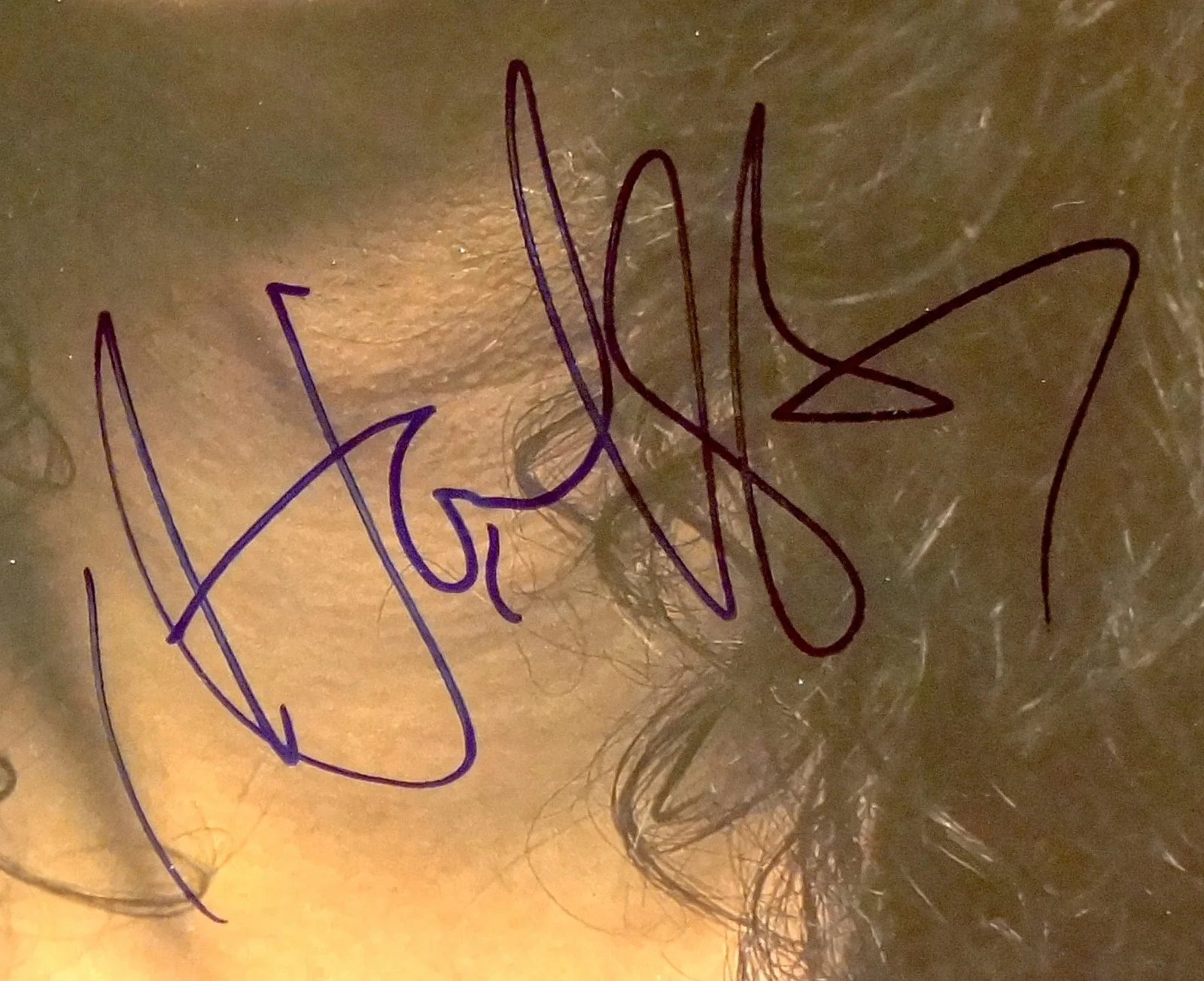 HOWARD STERN HAND SIGNED AUTOGRAPHED VINTAGE 11X14 PHOTO! RARE WITH PROOF + COA!, image 2