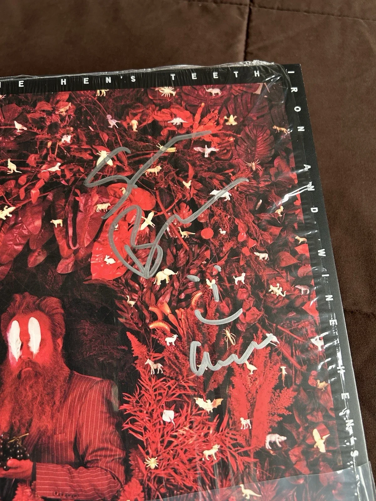 Iron and Wine Hen’s Teeth Signed Vinyl White Marble LP 2026 Autographed Sam Beam, изображение 4
