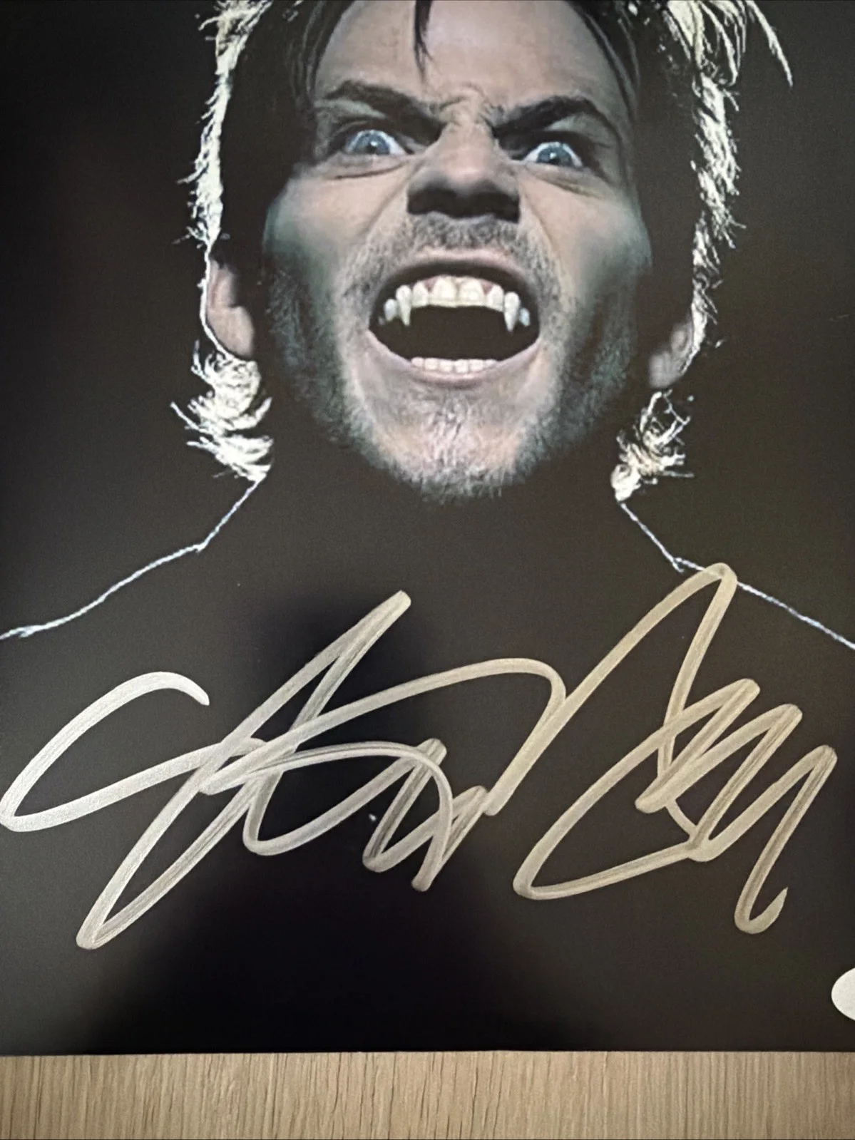 Stephen Dorff signed BLADE "Deacon Frost" 8x10 photo JSA Authentication, image 3