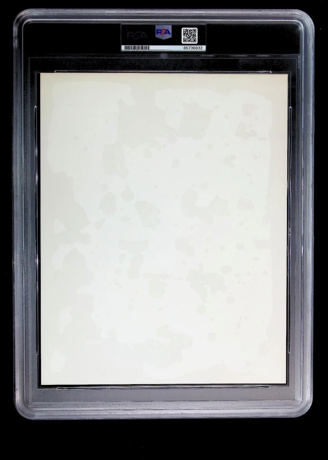Cher - Autographed Photo - PSA Jumbo Holder - 85736932, image 2