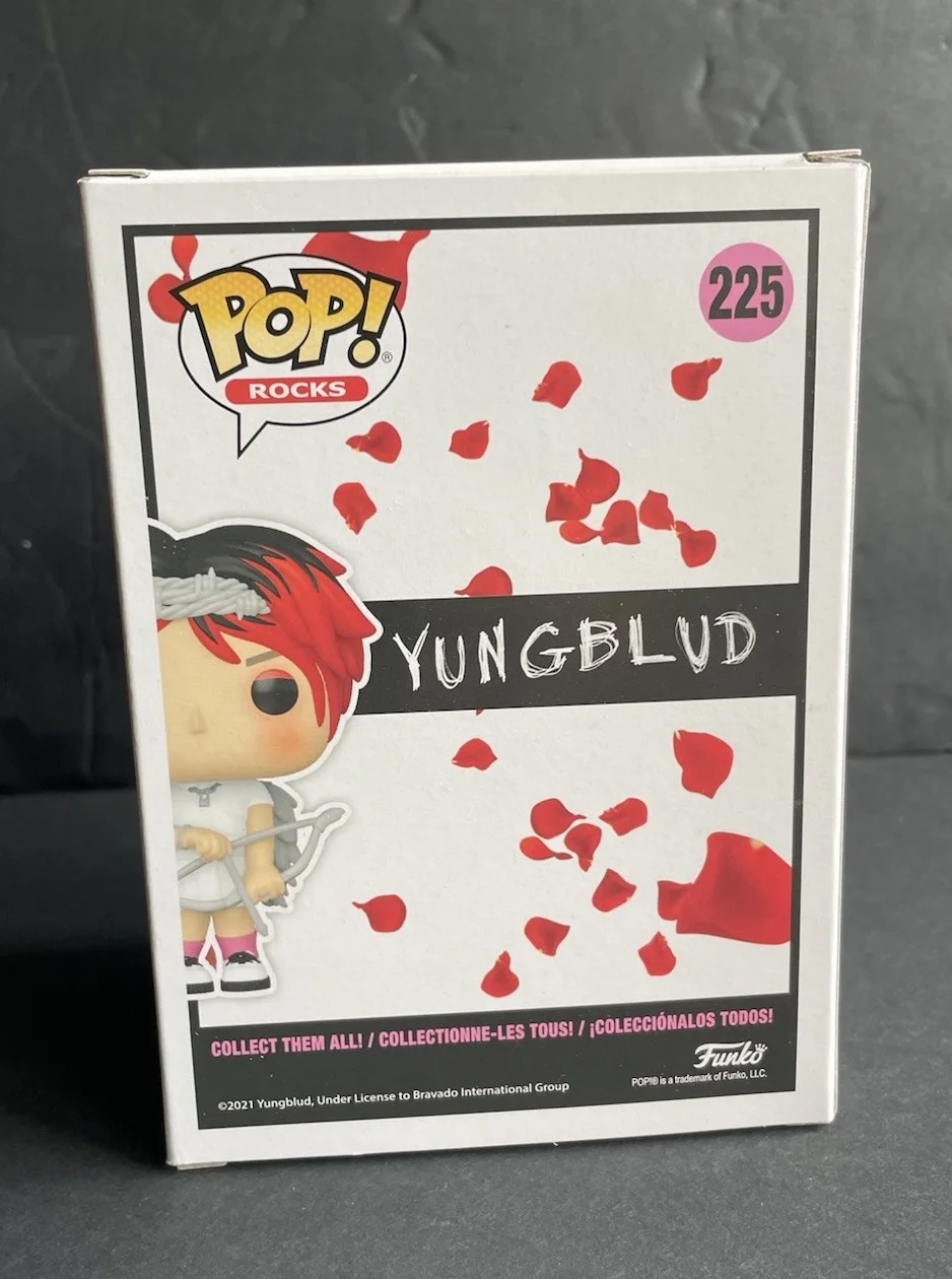 Yungblud Signed Funko Pop Rocks 225 Rare, image 4