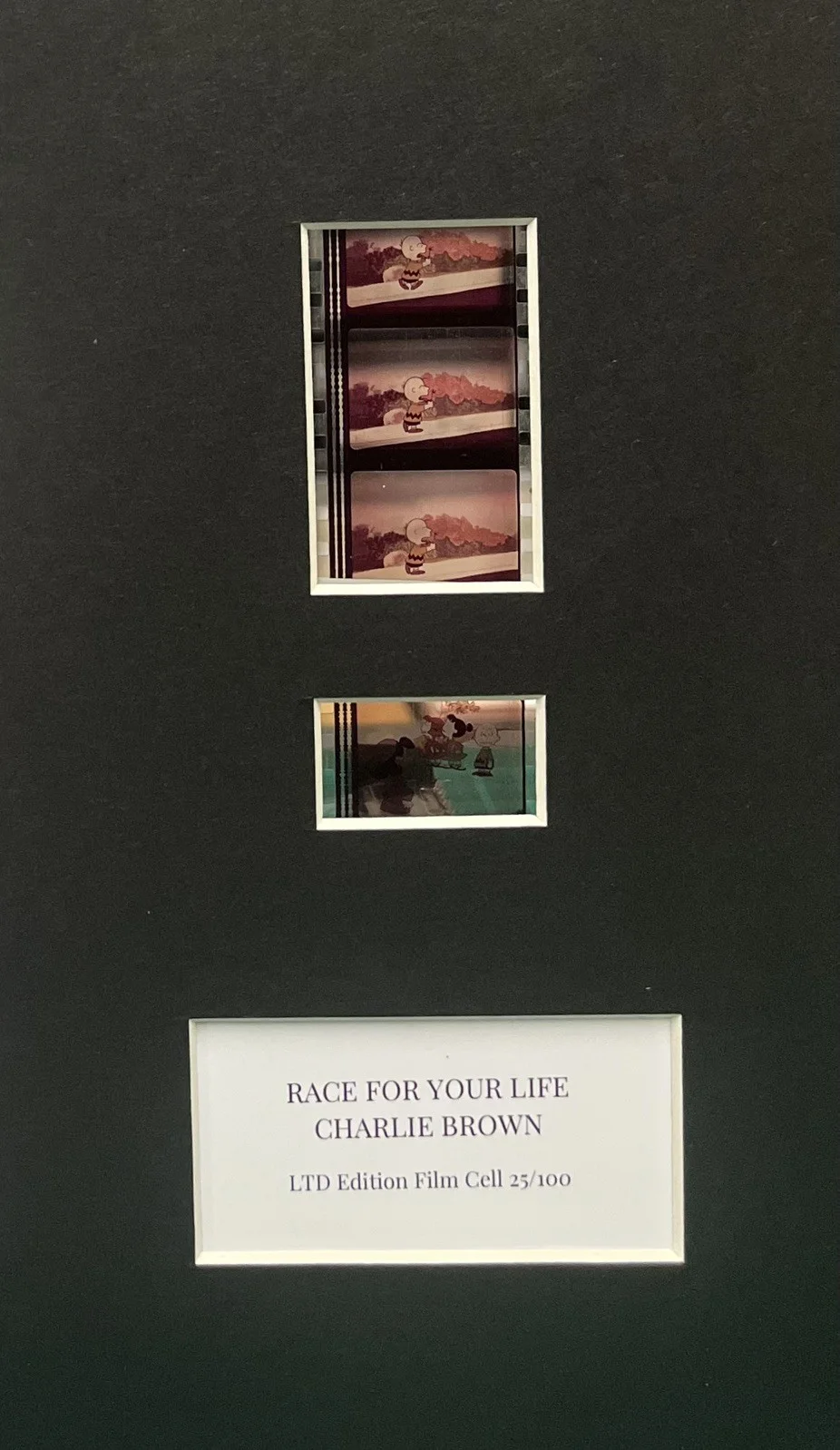 A RACE FOR YOUR LIFE. Charlie Brown . 35mm Film Cell Mounted Display, image 3