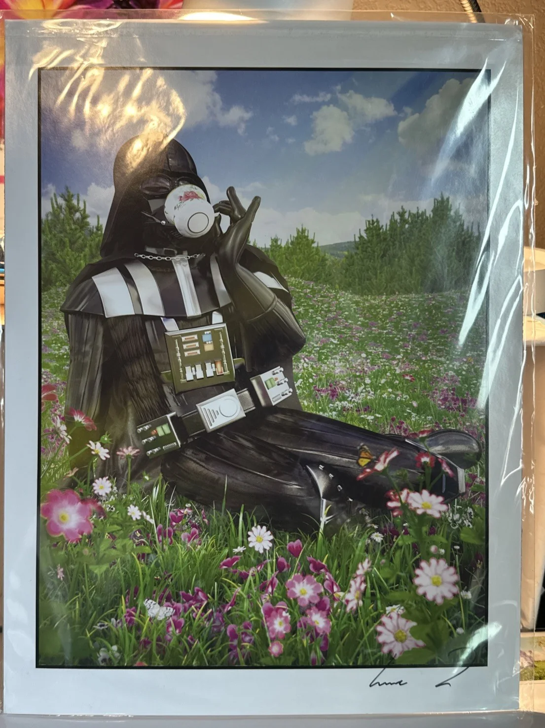Signed Darth Vader Poster Teatime in a field of flowers sipping tea 12 X 16, изображение 2