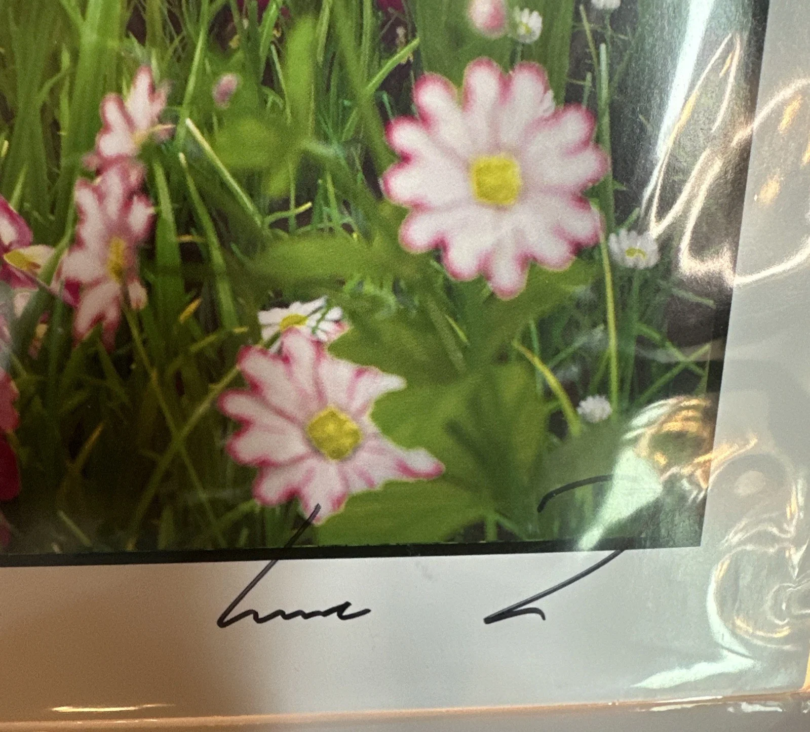 Signed Darth Vader Poster Teatime in a field of flowers sipping tea 12 X 16, изображение 3