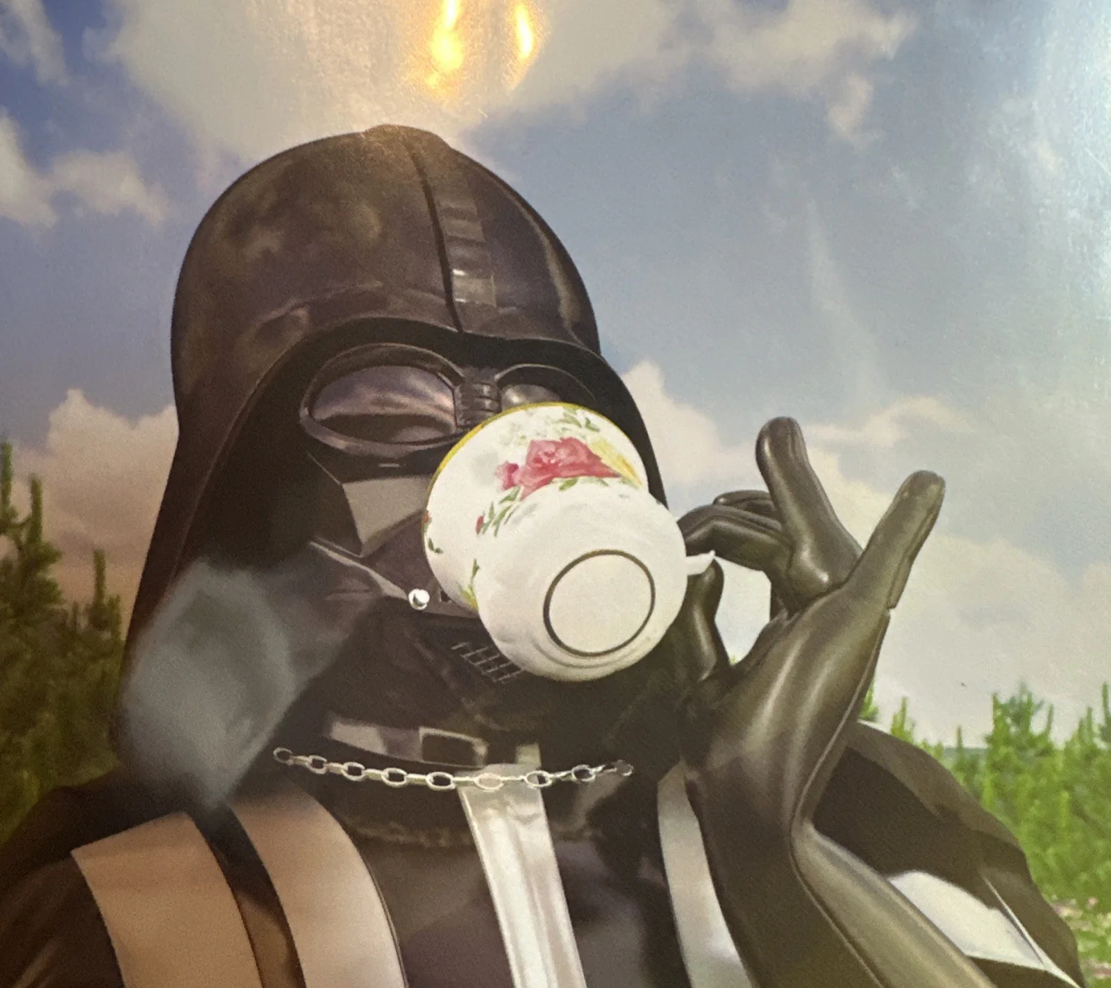 Signed Darth Vader Poster Teatime in a field of flowers sipping tea 12 X 16, изображение 4