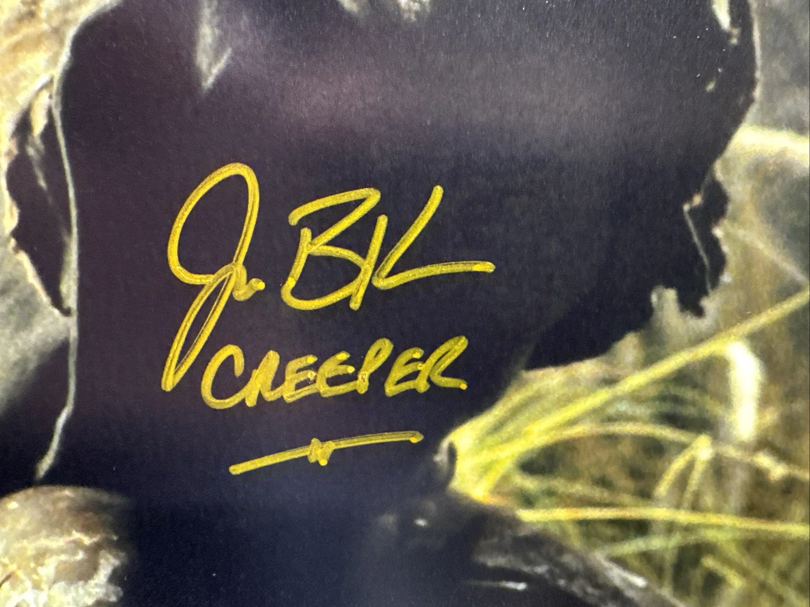 Jeepers Creepers Jonathon Breck signed The Creeper 8x10 photo JSA Autograph-A, image 2