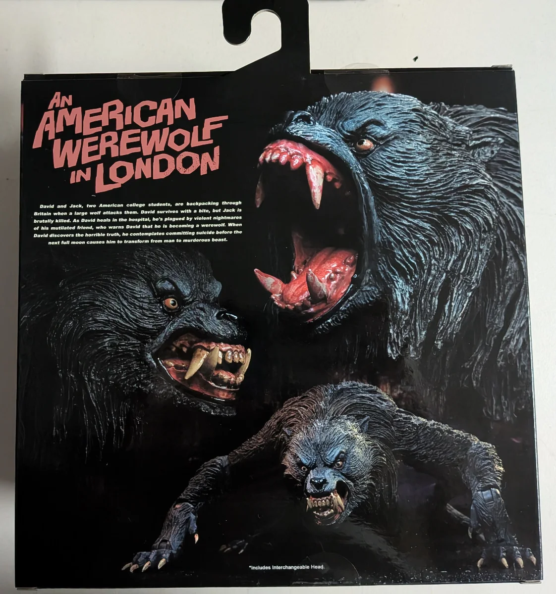 David Naughton — David NAUGHTON Signed NECA FIGURE American Werewolf in London Autograph JSA COA, image 4