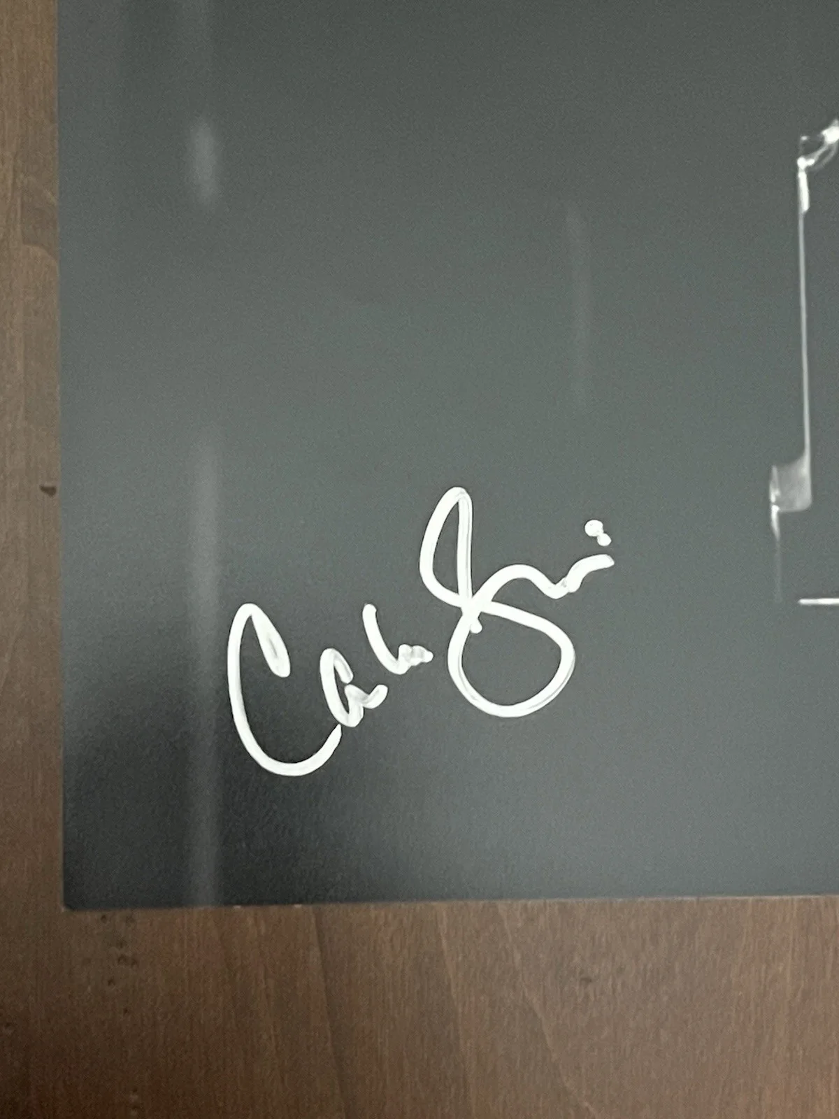 Carla Gugino — Carla Gugino autographed Hand signed 16x20 photo JSA Sin City Lucille (#1), изображение 4