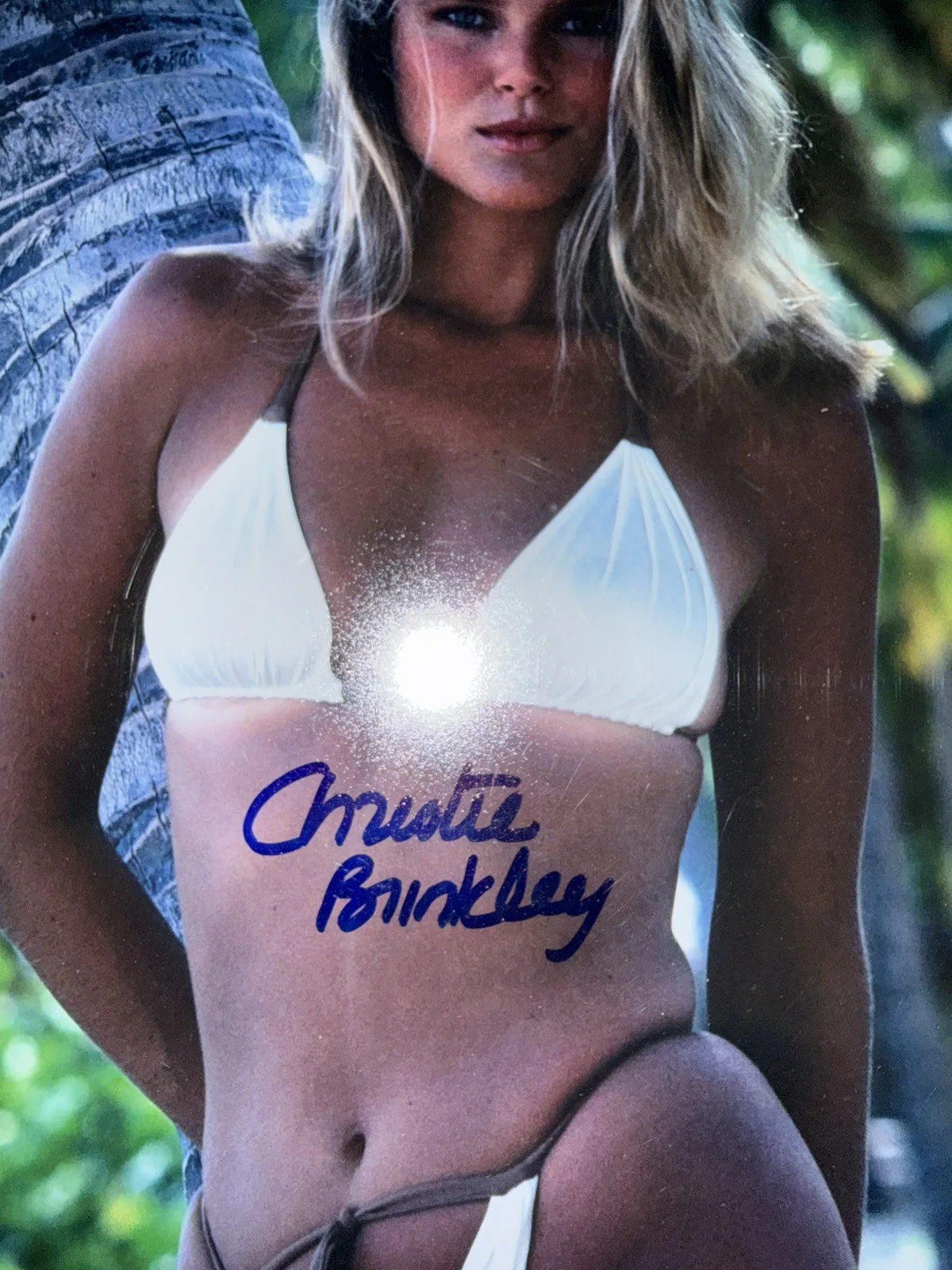 Christie Brinkley — Christie Brinkley Signed Photo Autograph Beckett & sports illustrated magazine, изображение 2