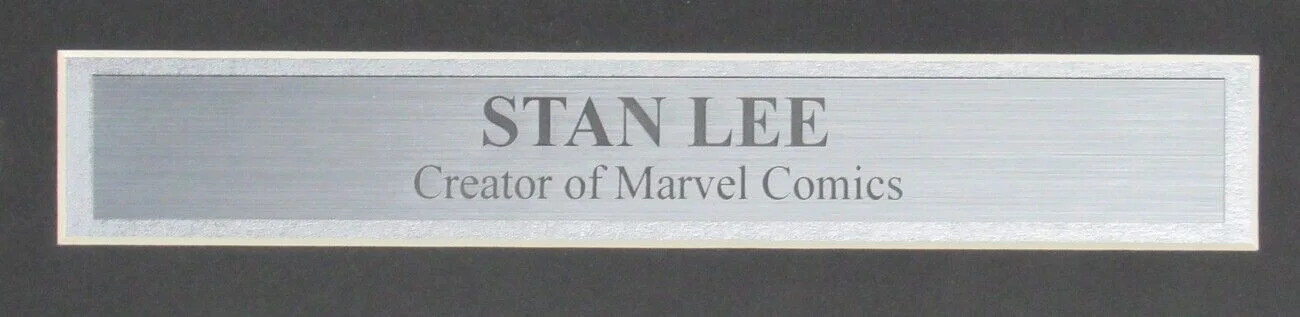 Stan Lee Marvel Comics Signed 16x20 Photo Framed Stan Lee Authentic 148405, изображение 3